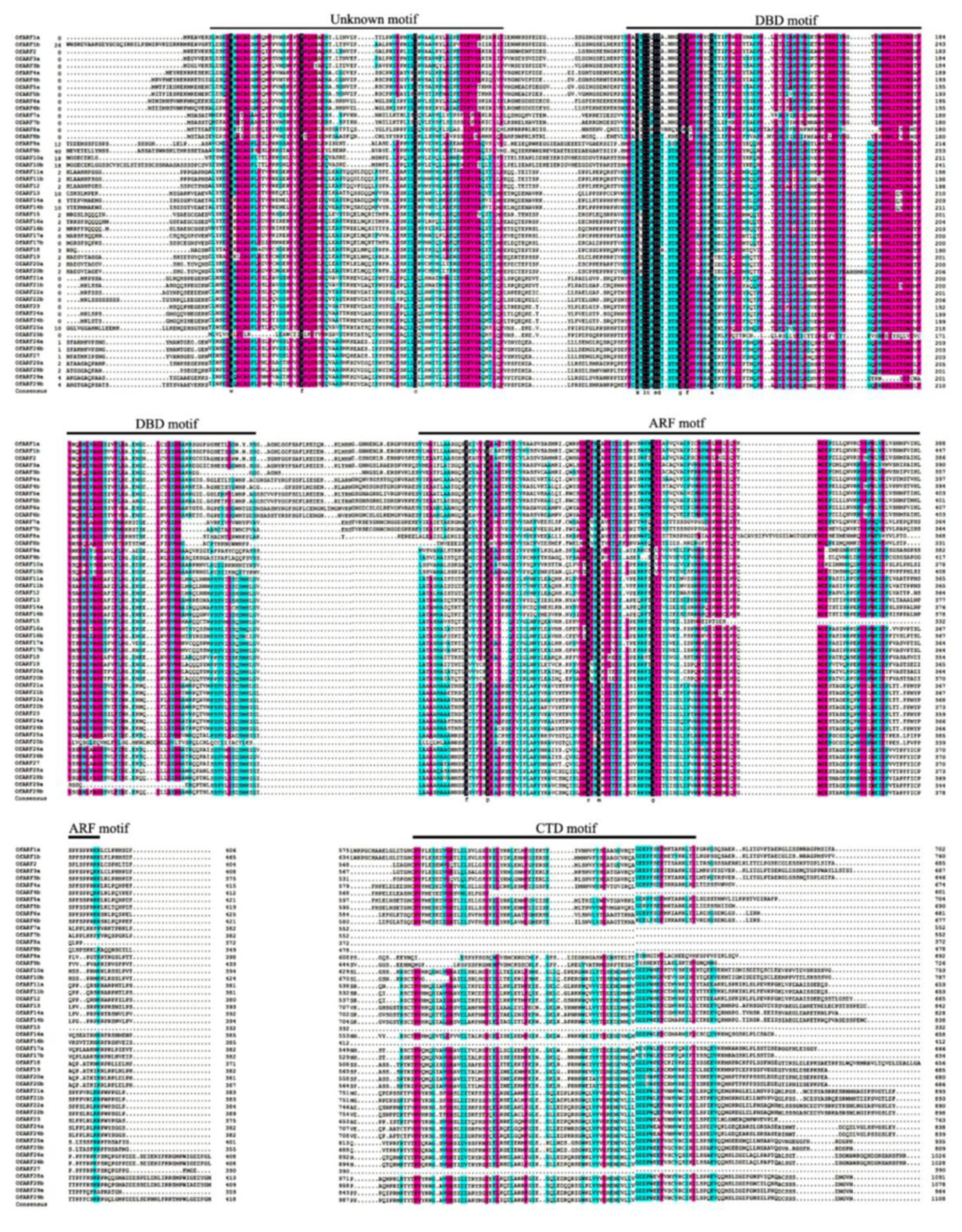 Forests 11 00245 g004 Forests 11 00245 g004