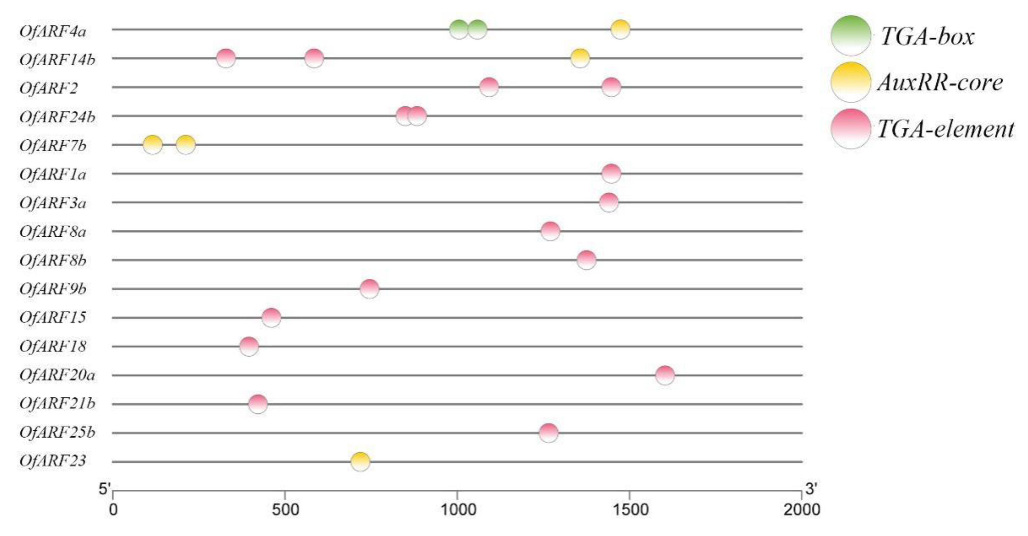 Forests 11 00245 g005 Forests 11 00245 g005