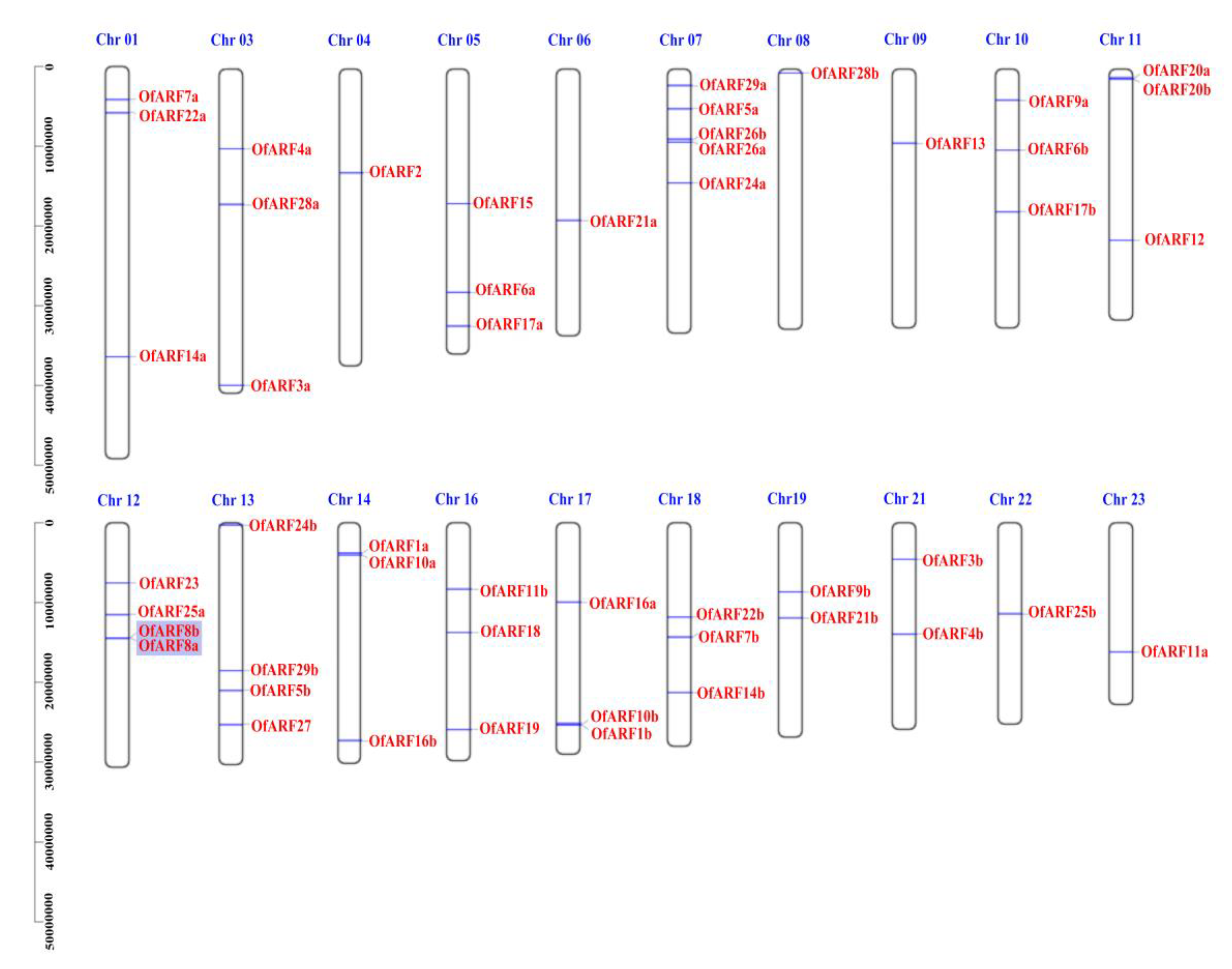 Forests 11 00245 g006 Forests 11 00245 g006
