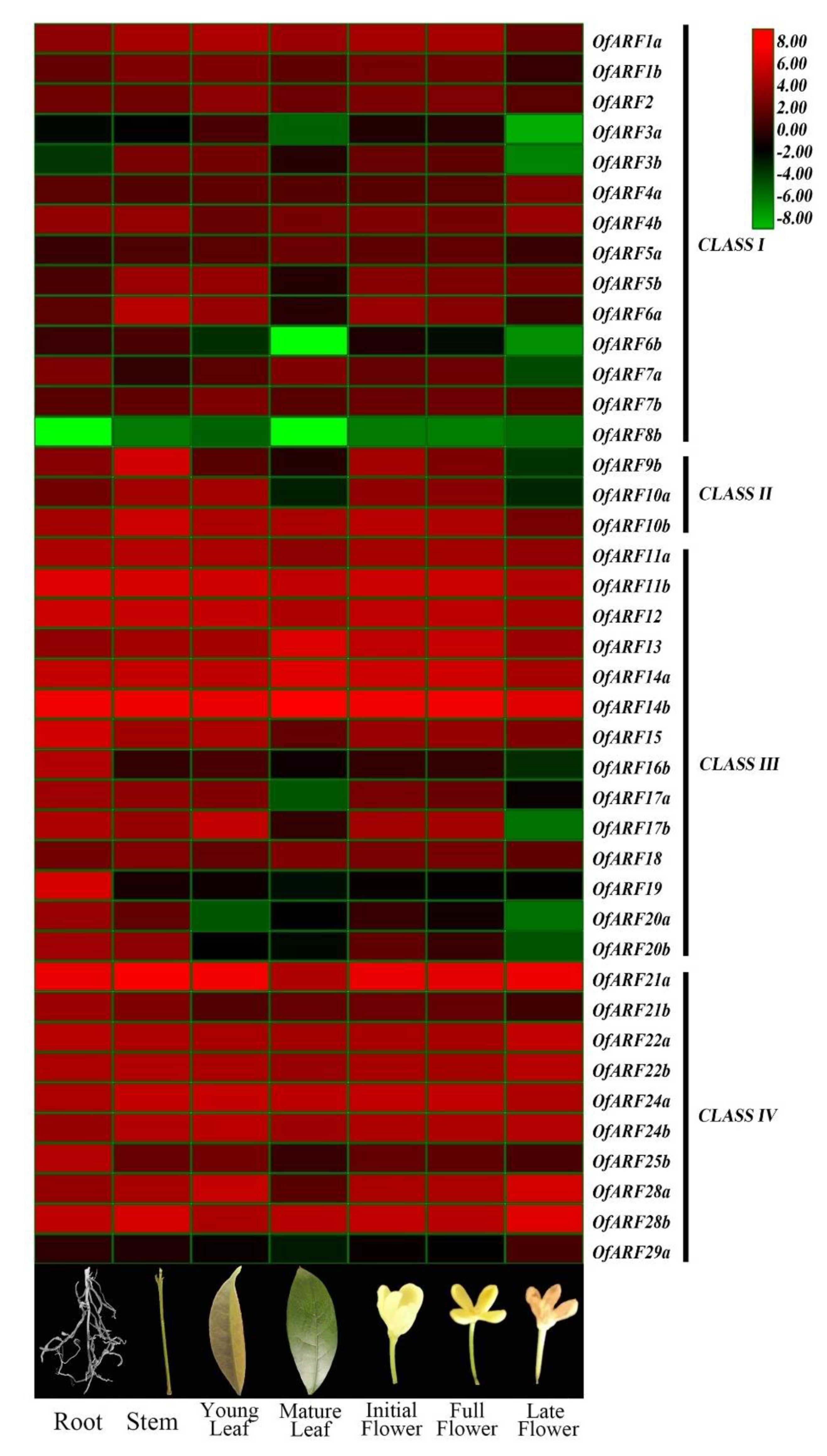 Forests 11 00245 g008 Forests 11 00245 g008