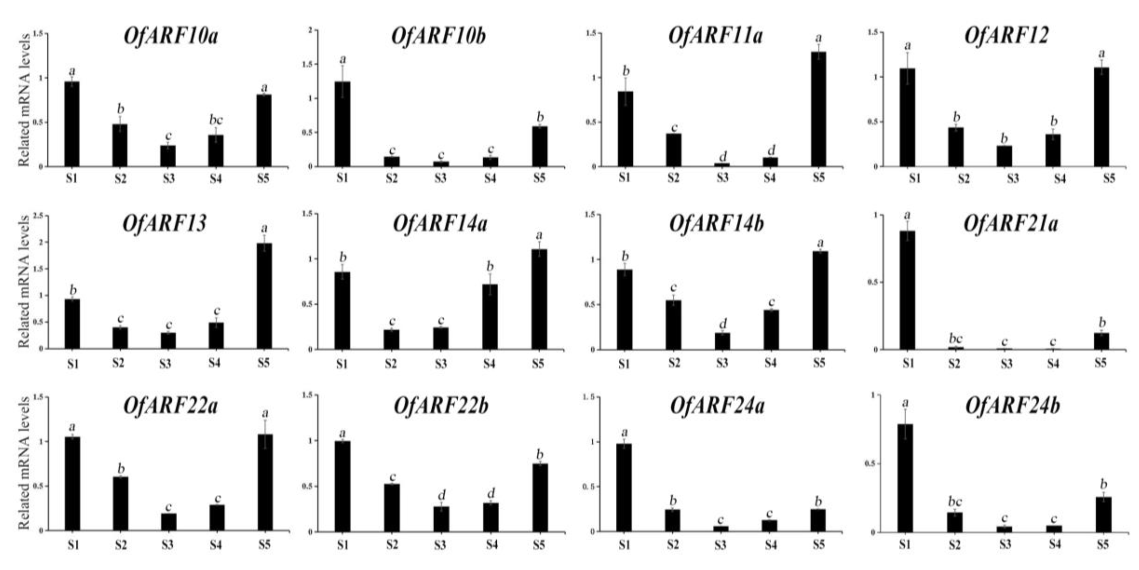 Forests 11 00245 g009 Forests 11 00245 g009