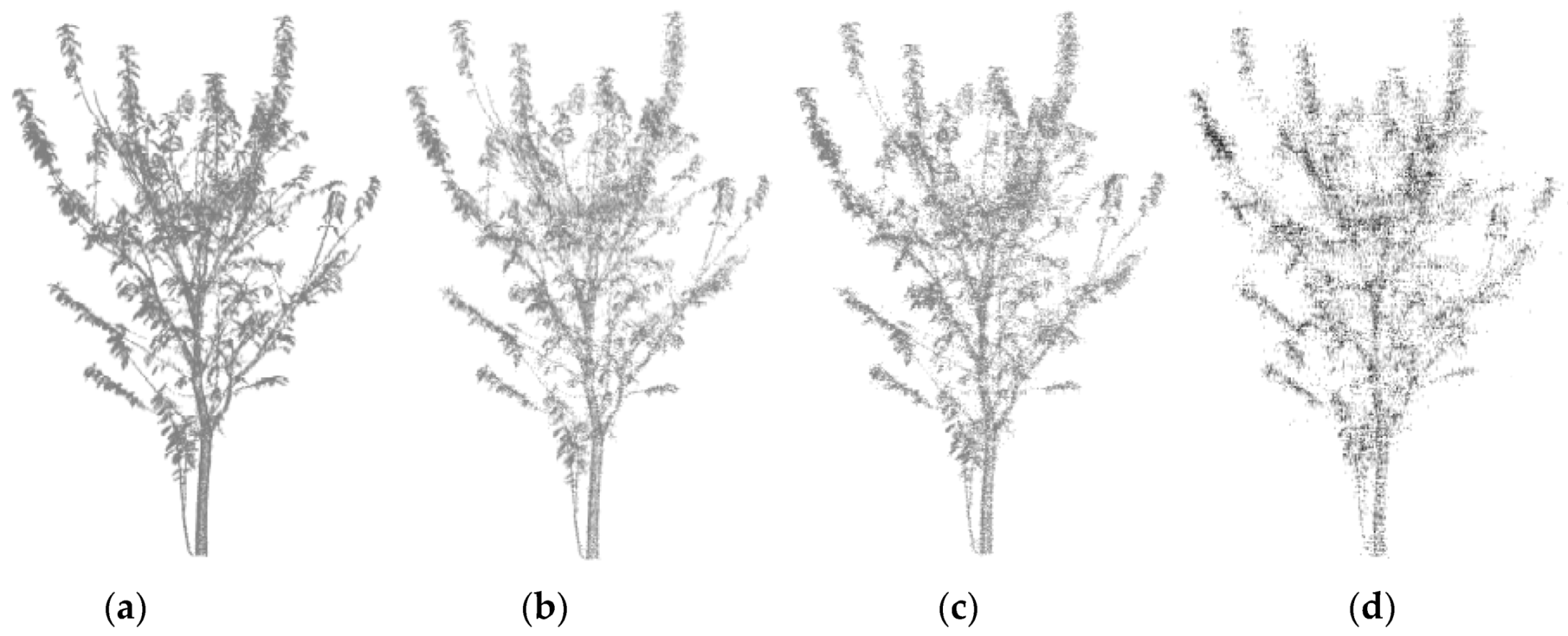 Forests 11 00257 g011 Forests 11 00257 g011