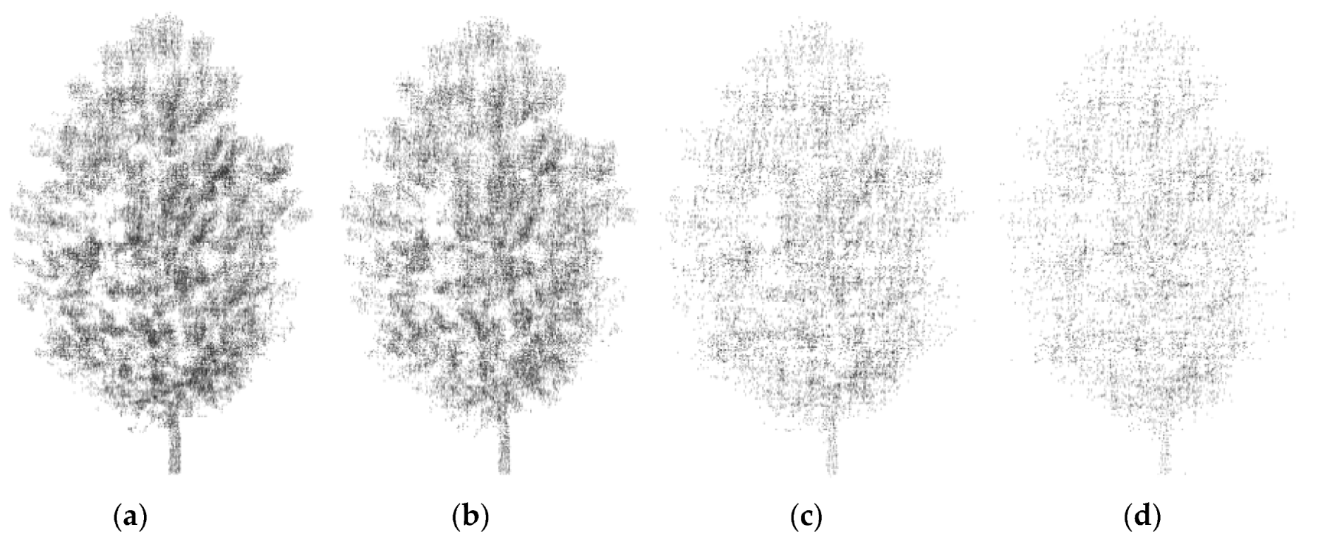 Forests 11 00257 g013 Forests 11 00257 g013