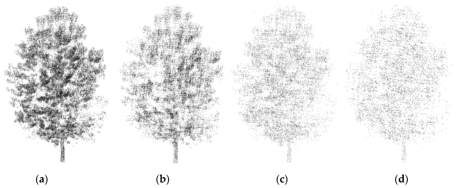 Forests 11 00257 g014 Forests 11 00257 g014