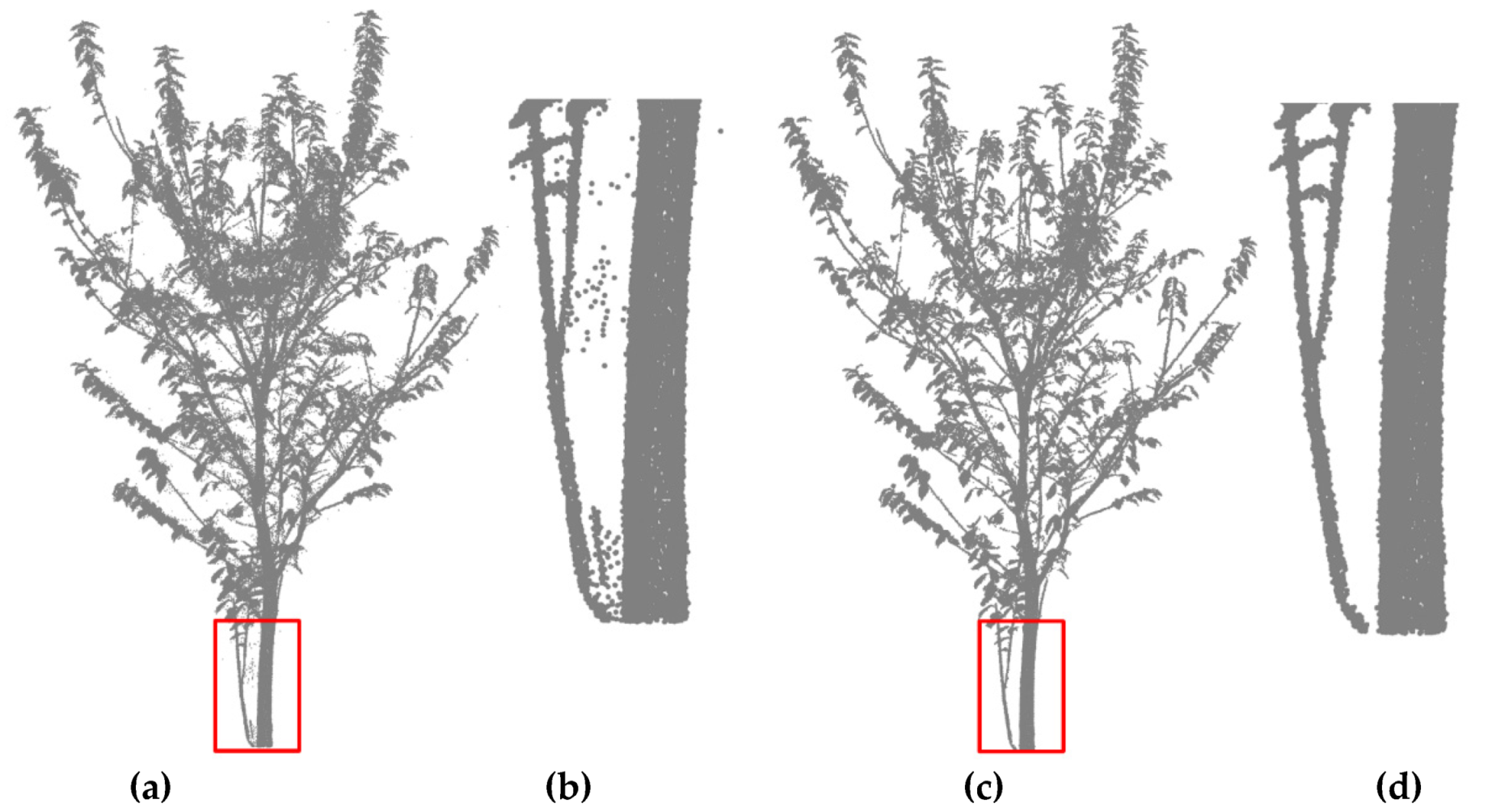 Forests 11 00257 g019 Forests 11 00257 g019