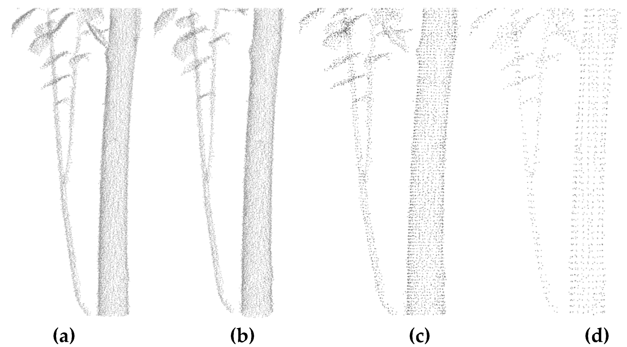 Forests 11 00257 g020 Forests 11 00257 g020