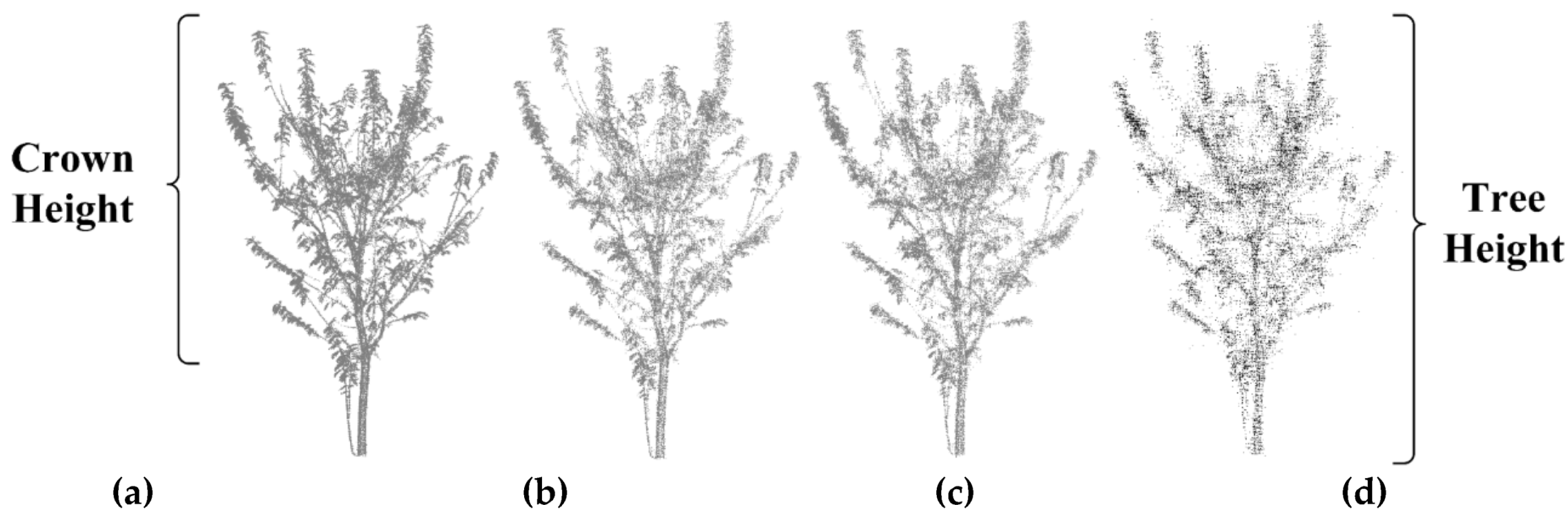 Forests 11 00257 g023 Forests 11 00257 g023