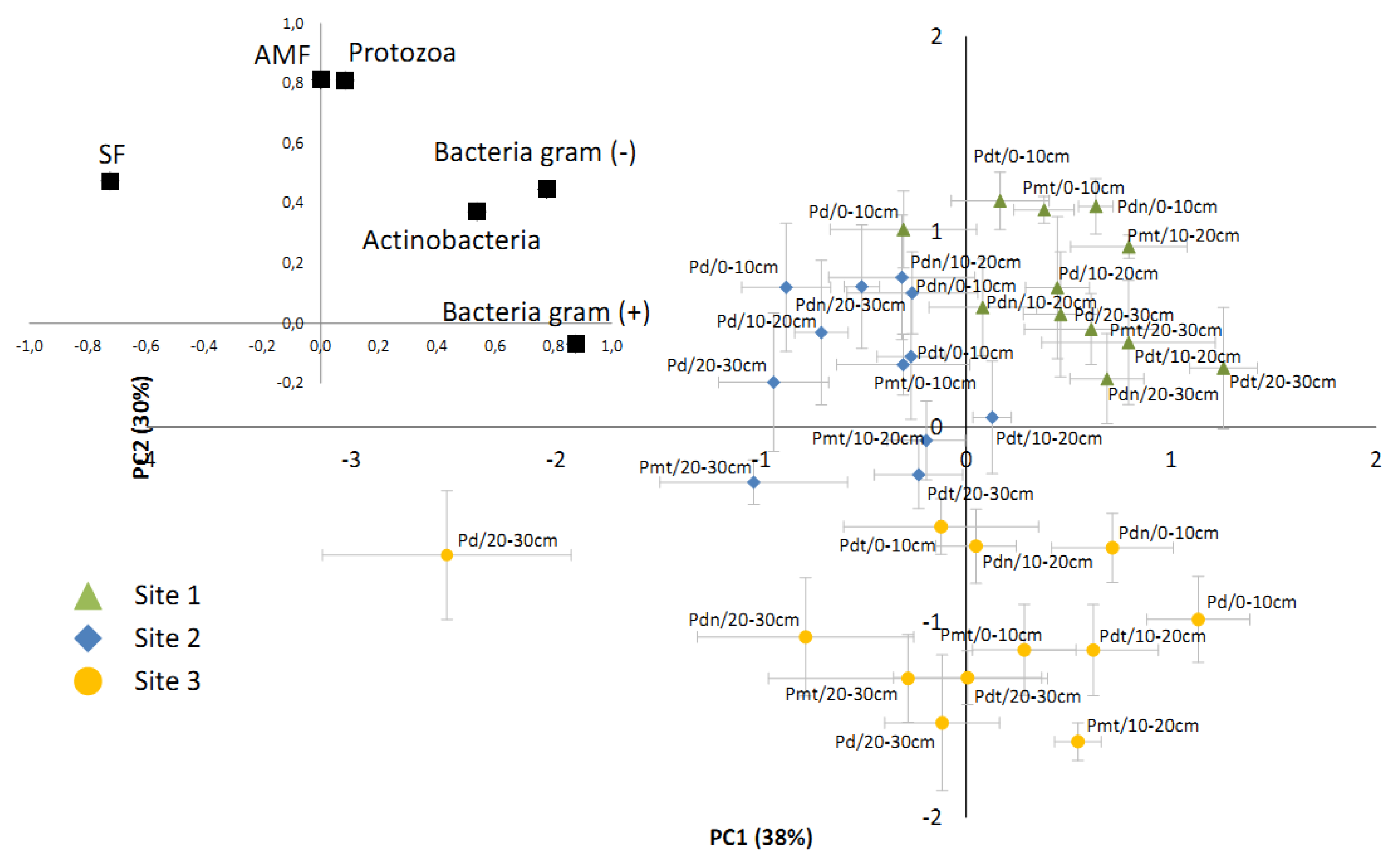 Forests 11 00262 g005