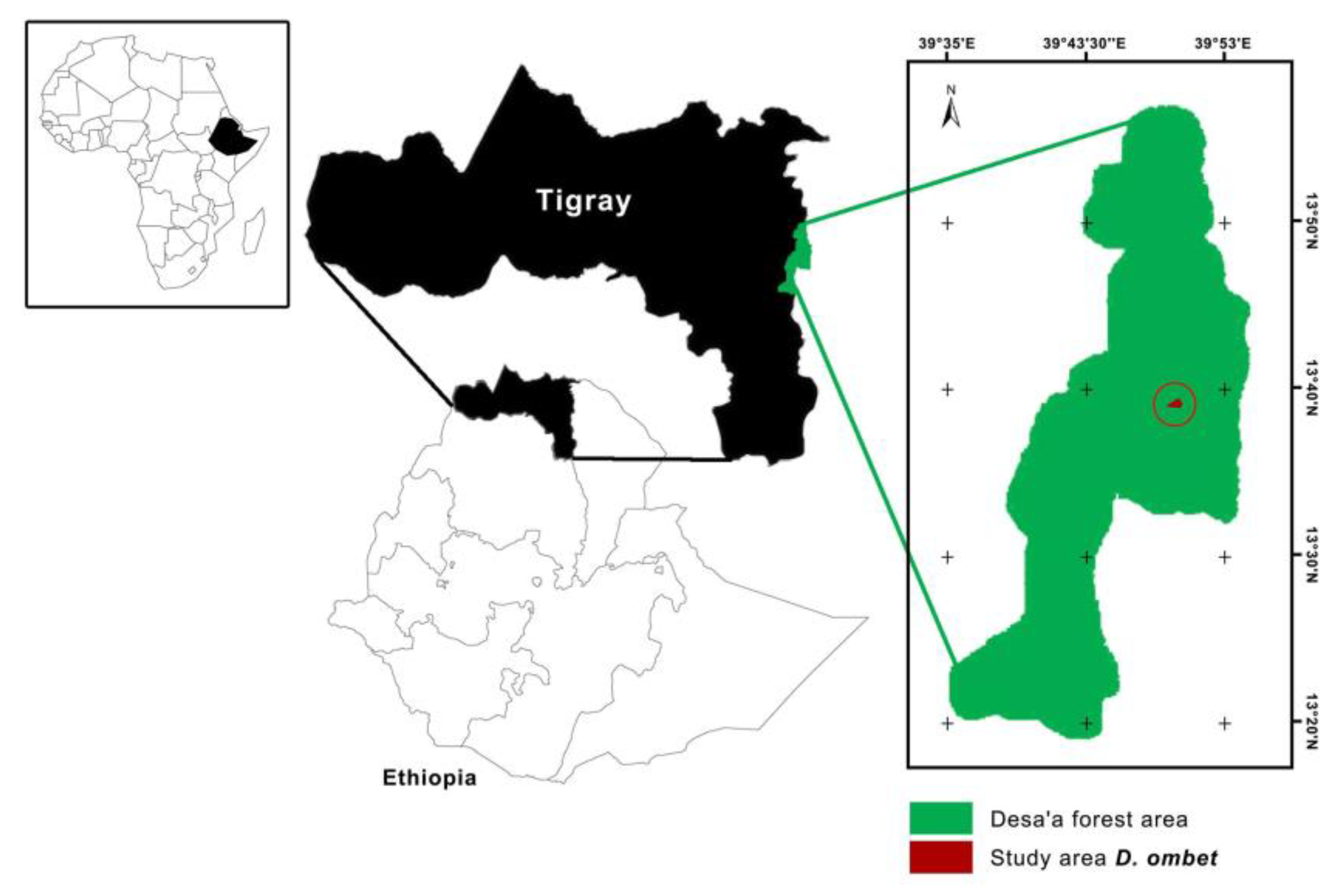 Forests 11 00264 g002 Forests 11 00264 g002