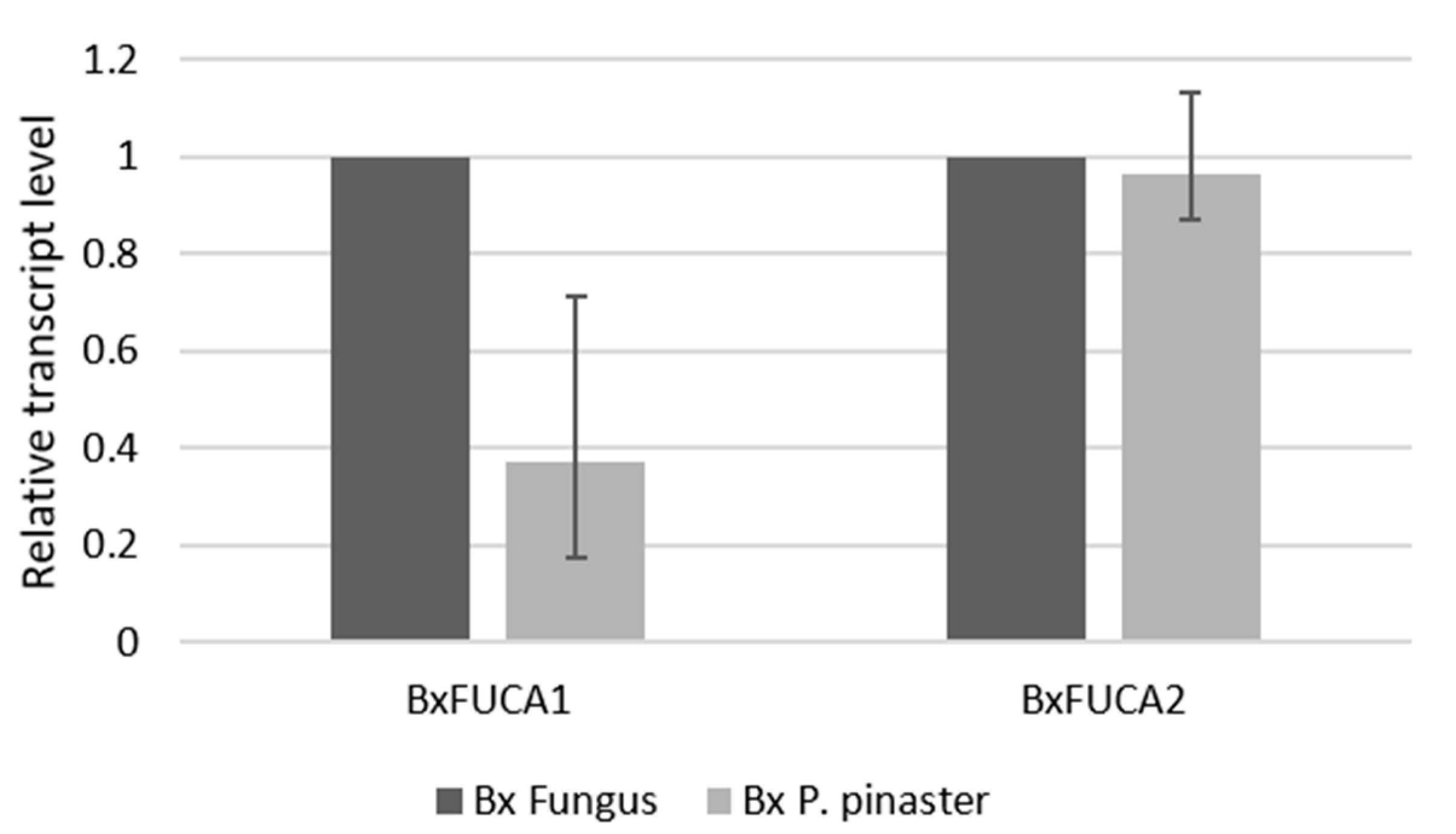 Forests 11 00265 g006 Forests 11 00265 g006