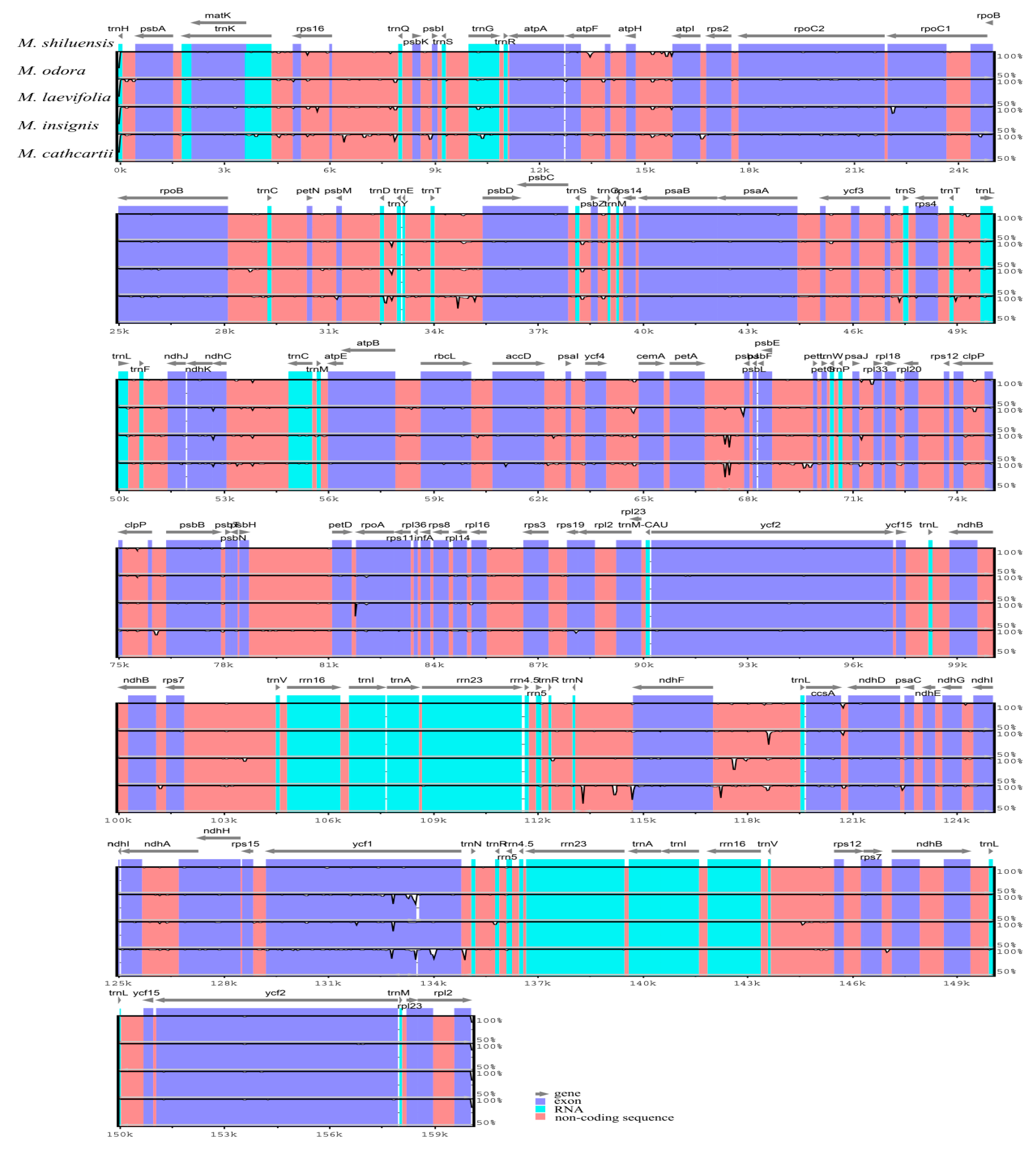 Forests 11 00267 g004