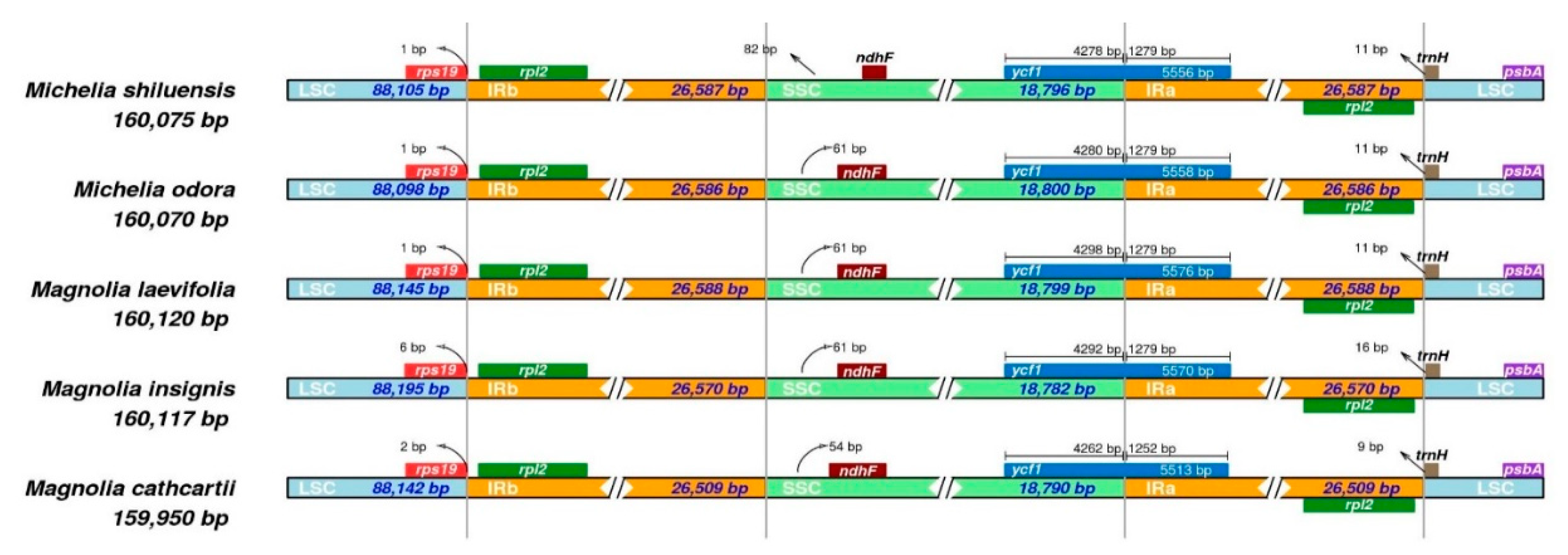 Forests 11 00267 g005