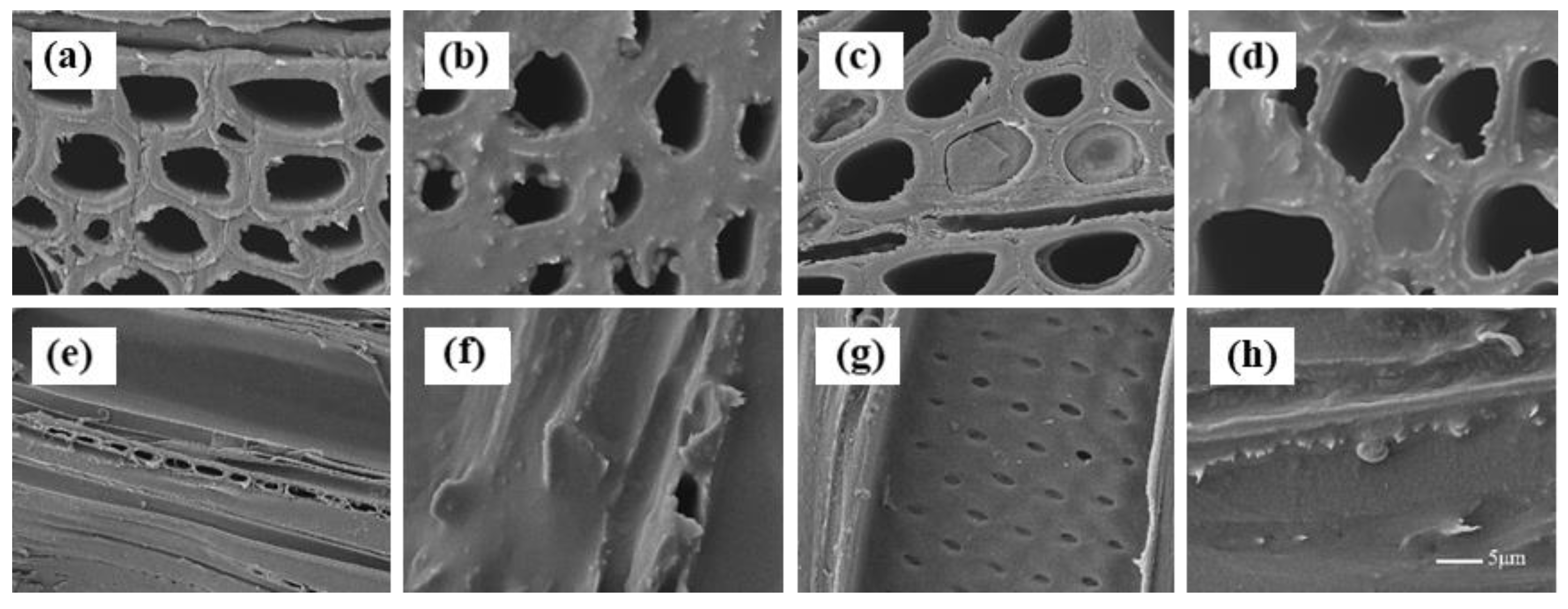 Forests 11 00271 g003