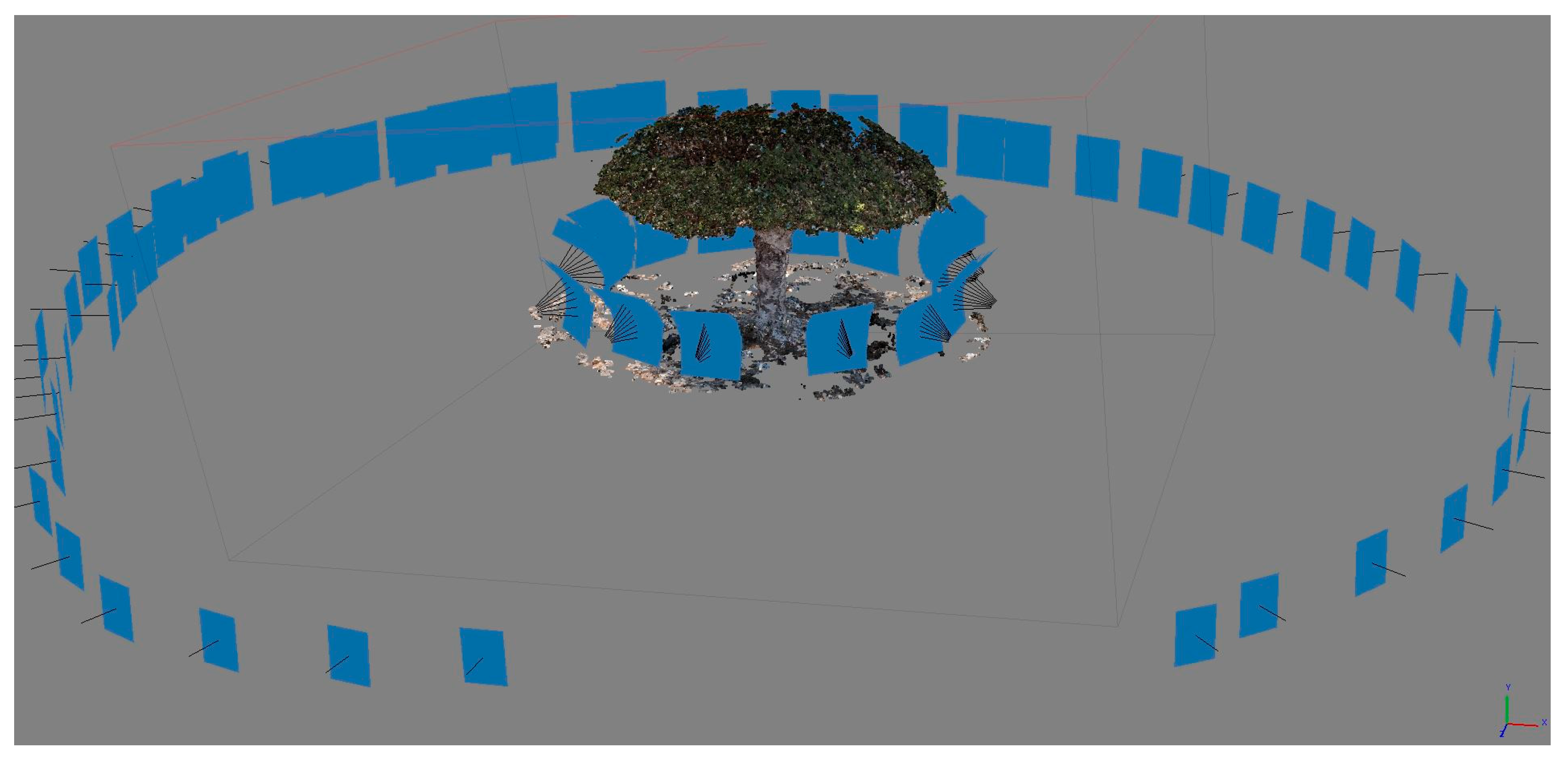 Forests 11 00272 g001 Forests 11 00272 g001