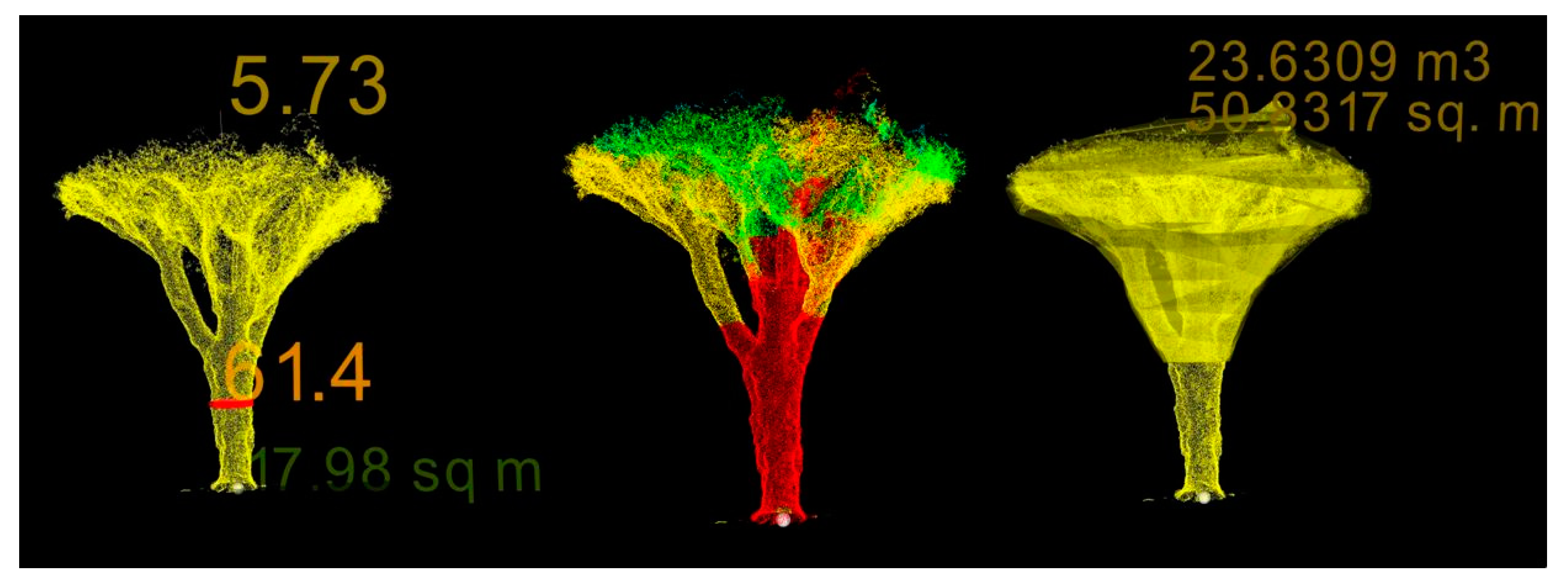 Forests 11 00272 g004 Forests 11 00272 g004