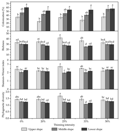 Forests Free Full Text Slope Position Rather Than Thinning Intensity Affects Arbuscular Mycorrhizal Fungi Amf Community In Chinese Fir Plantations Html Forests Free Full Text Slope Position Rather Than Thinning Intensity Affects Arbuscular Mycorrhizal Fungi Amf Community In Chinese Fir Plantations Html