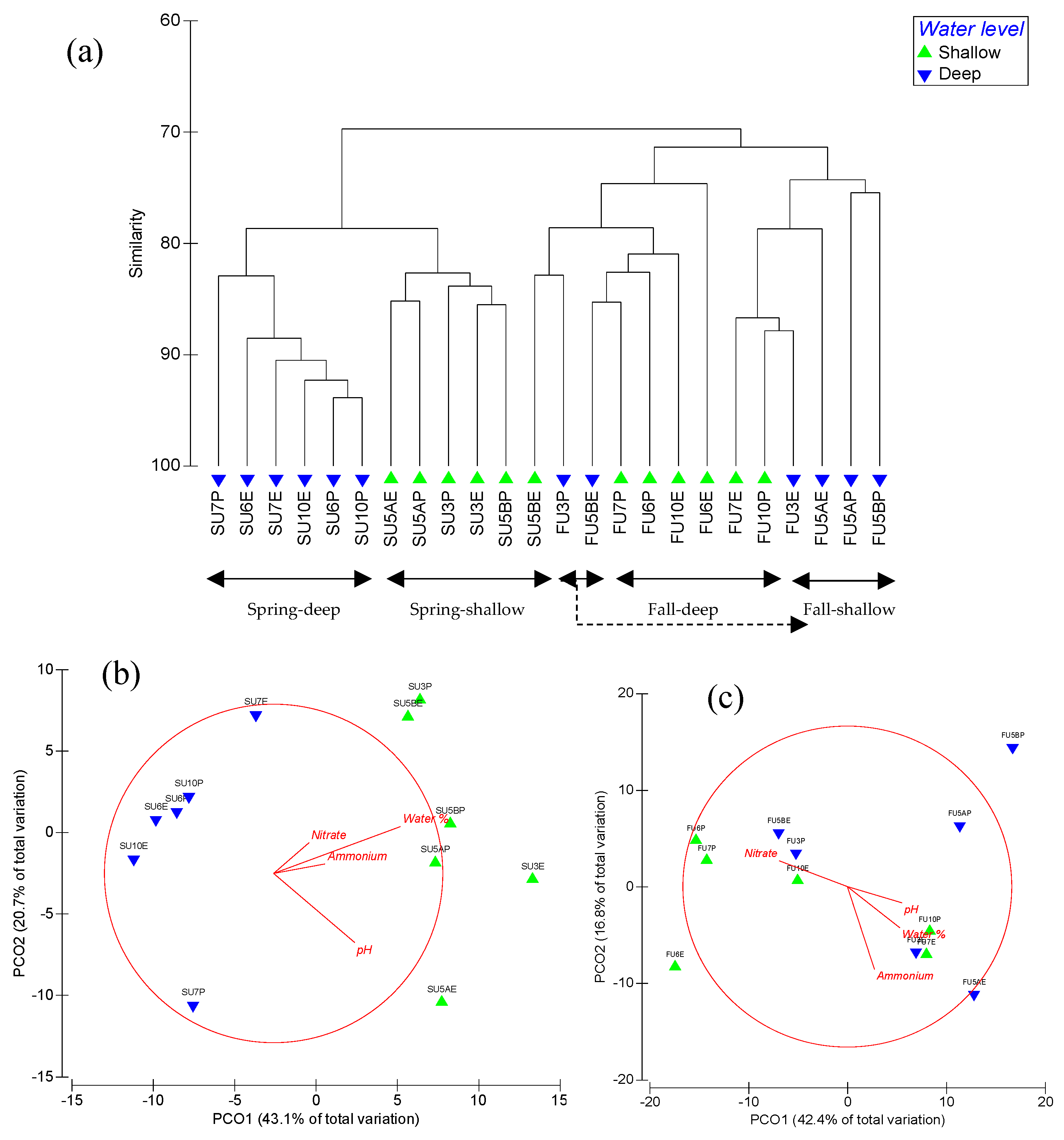 Forests 11 00275 g004 Forests 11 00275 g004