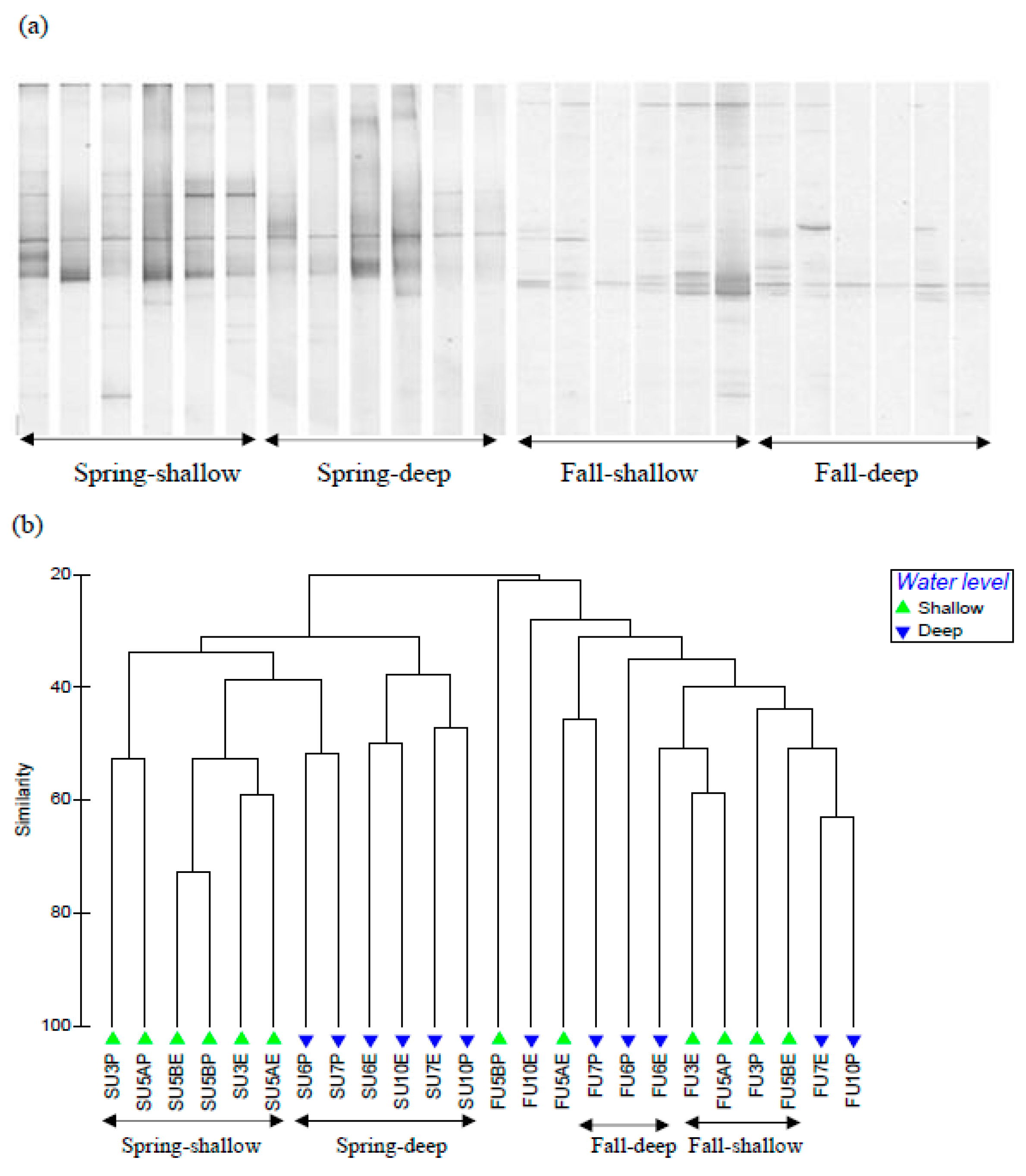 Forests 11 00275 g005 Forests 11 00275 g005