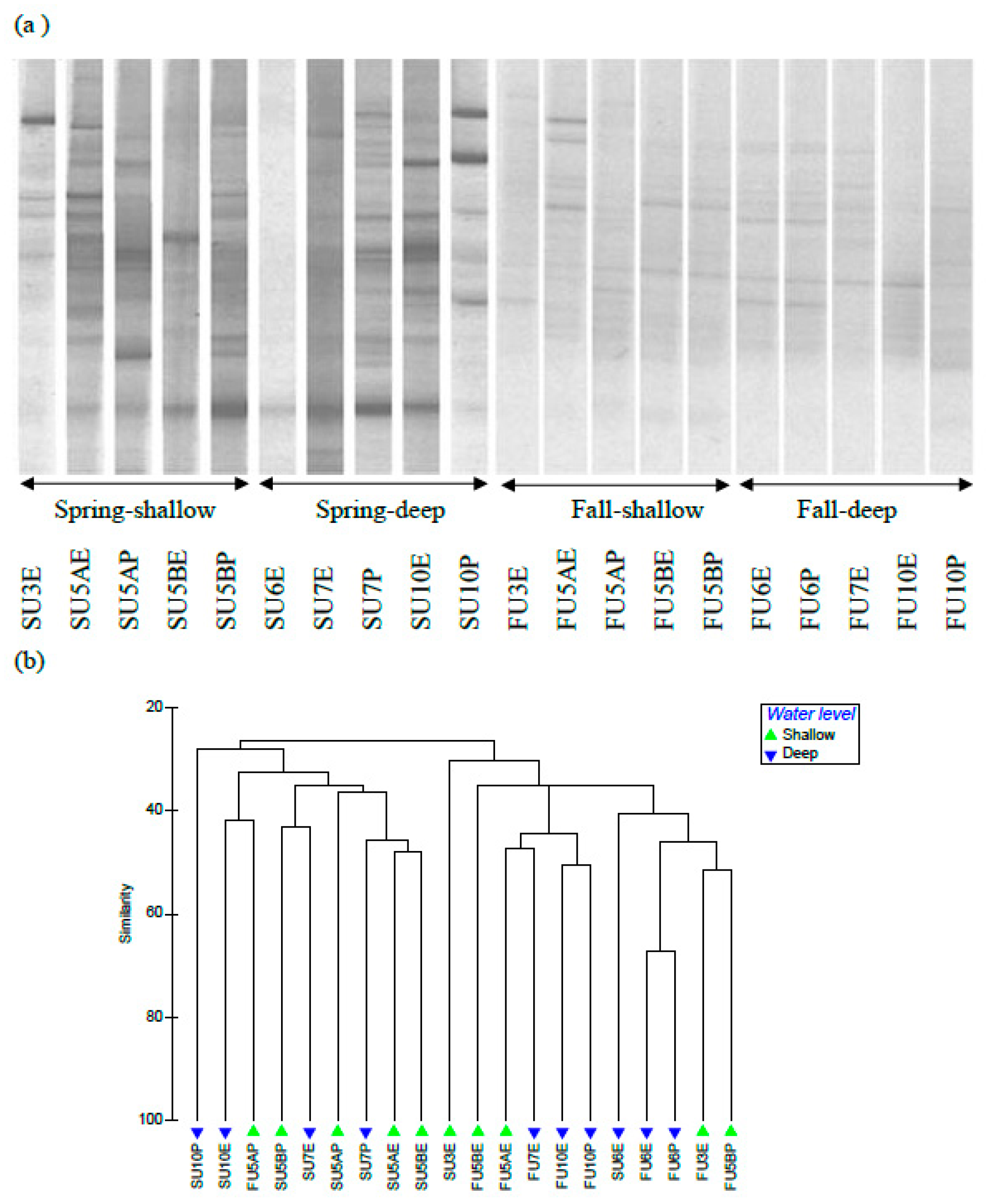 Forests 11 00275 g006 Forests 11 00275 g006