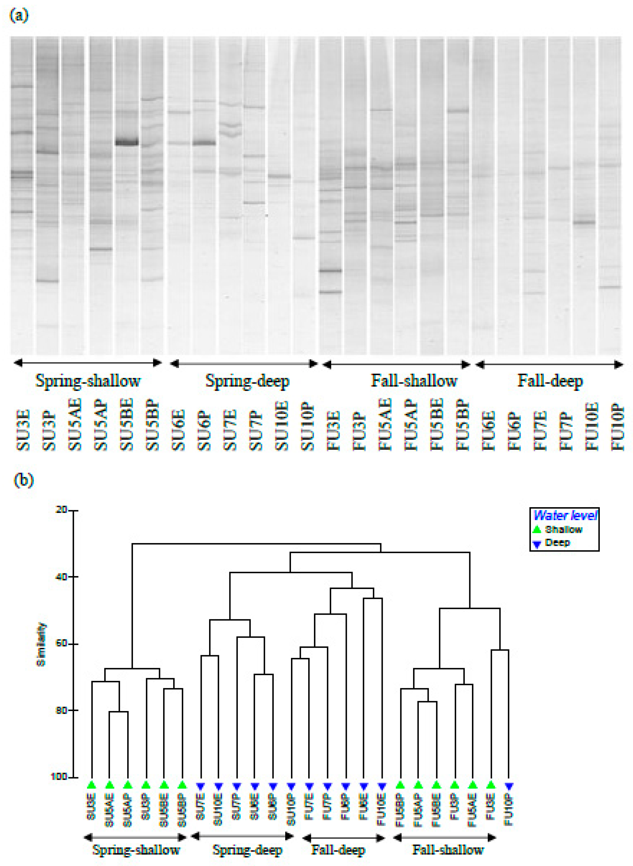 Forests 11 00275 g007 Forests 11 00275 g007