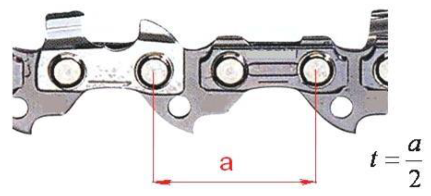 Forests 11 00276 g001