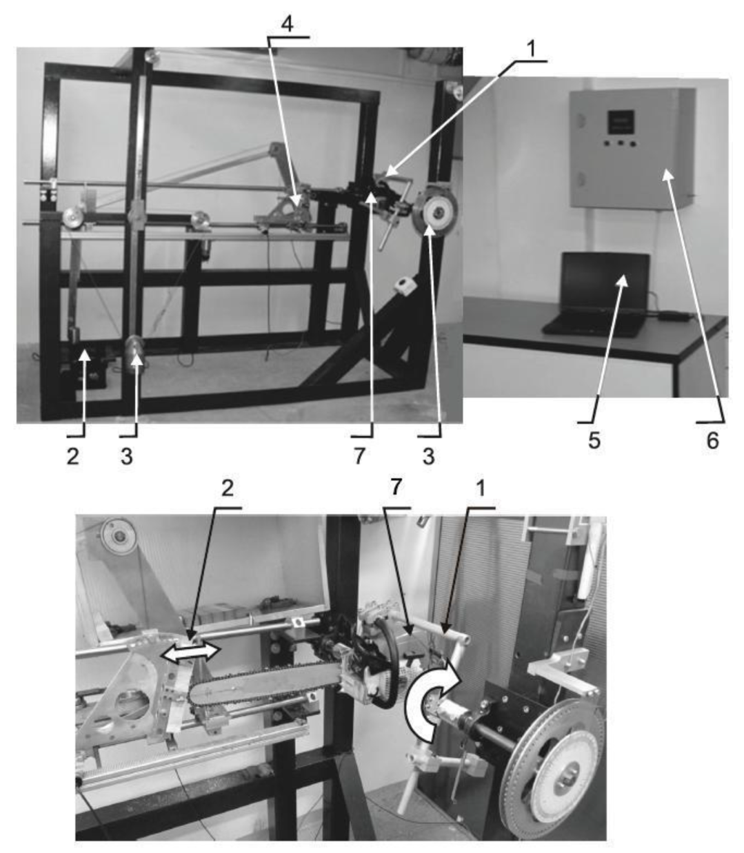 Forests 11 00276 g004