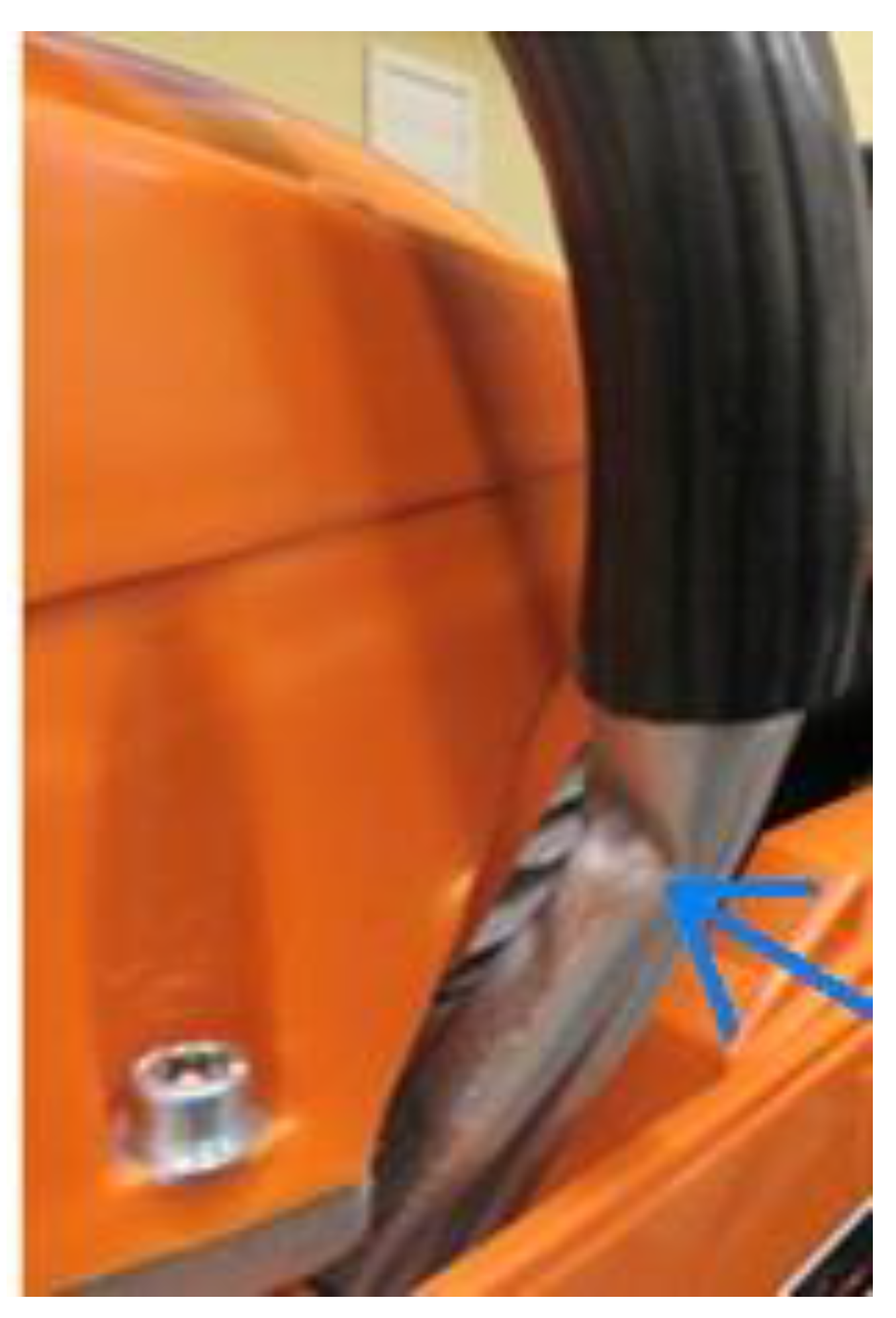 Forests 11 00276 g007