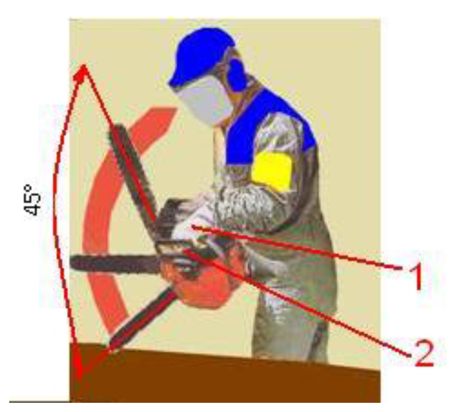 Forests 11 00276 g008