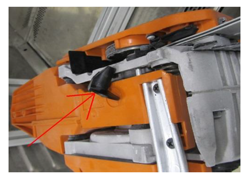 Forests 11 00276 g016