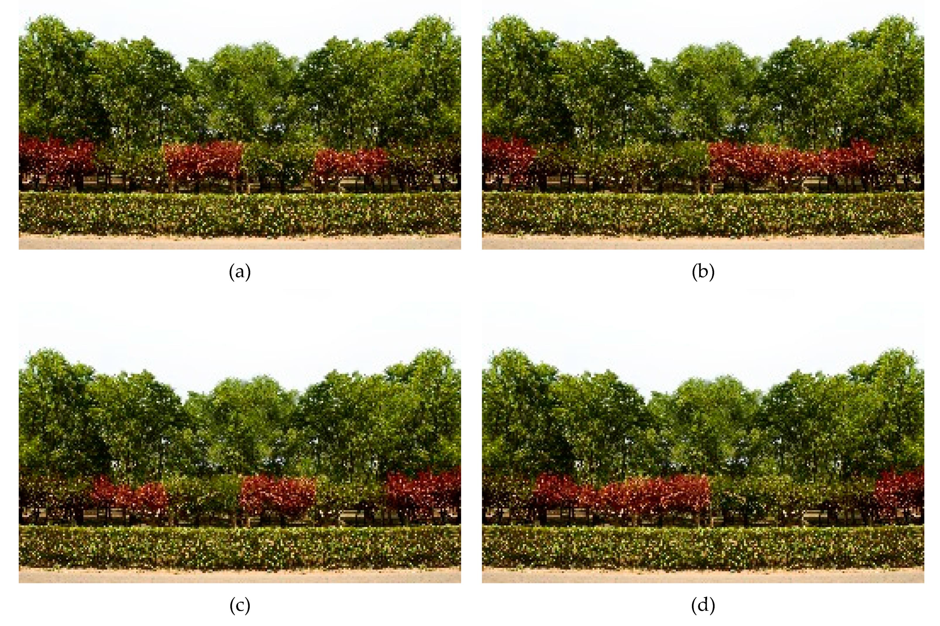 Forests 11 00278 g003