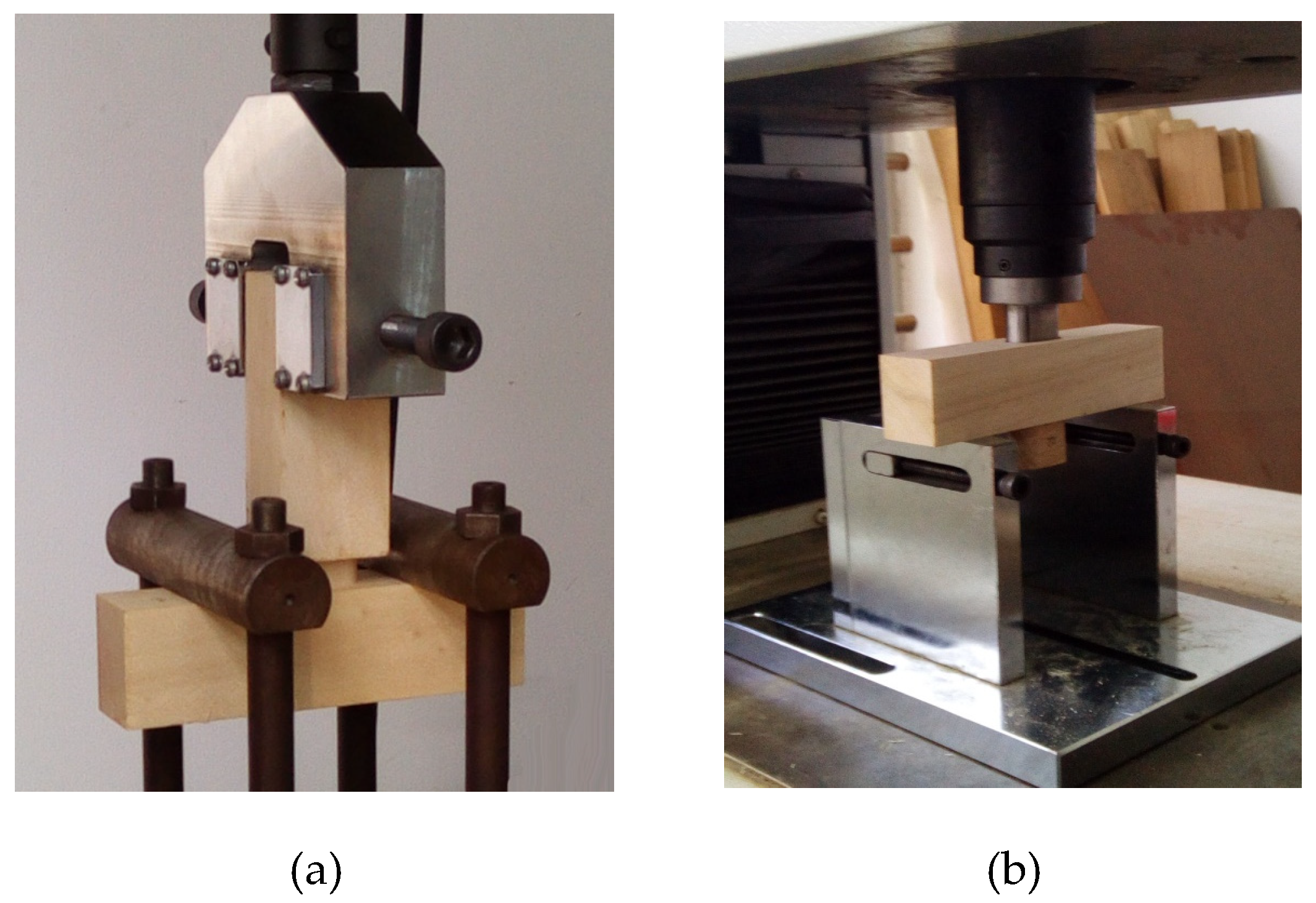 Forests 11 00280 g002 Forests 11 00280 g002