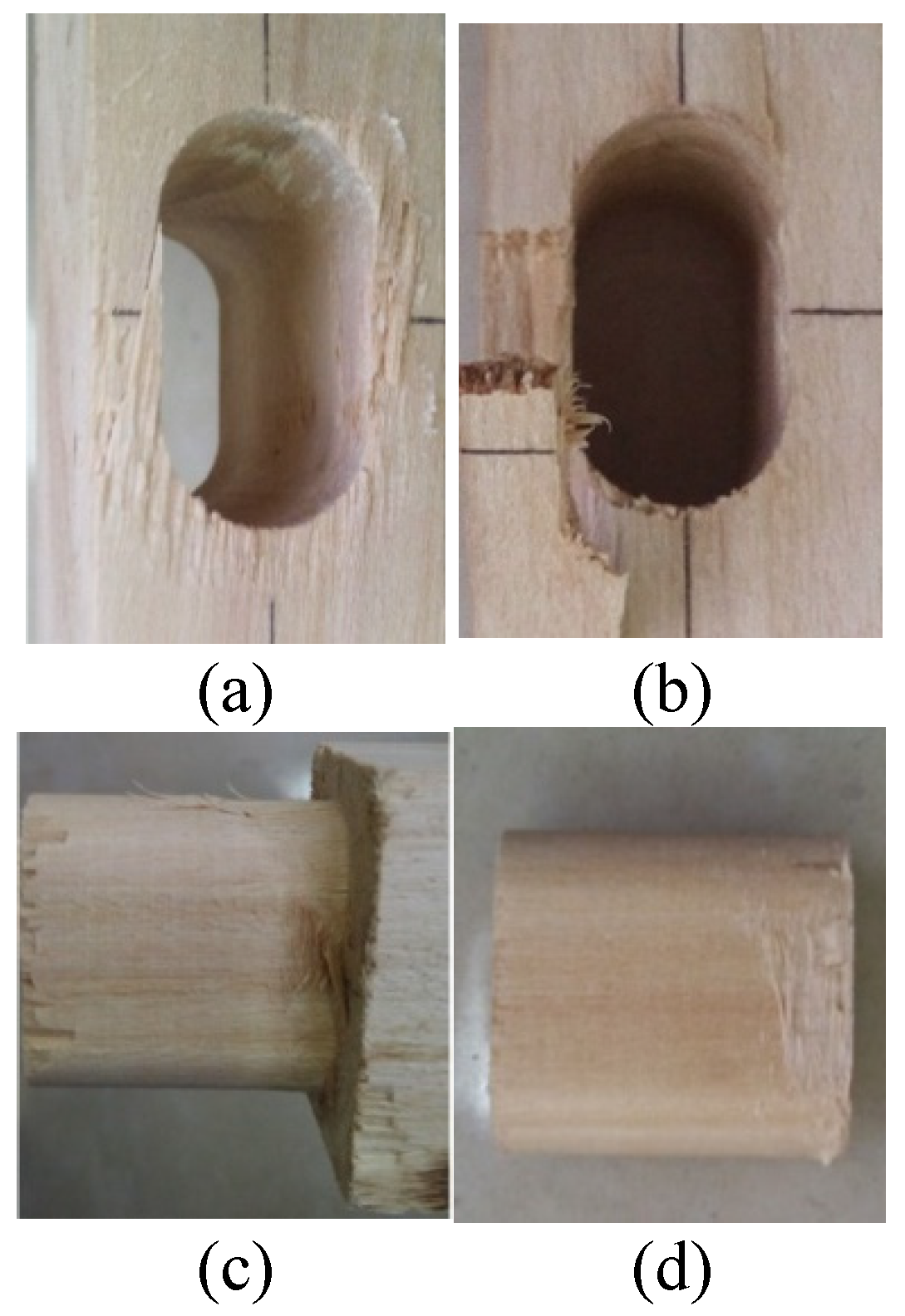 Forests 11 00280 g003 Forests 11 00280 g003