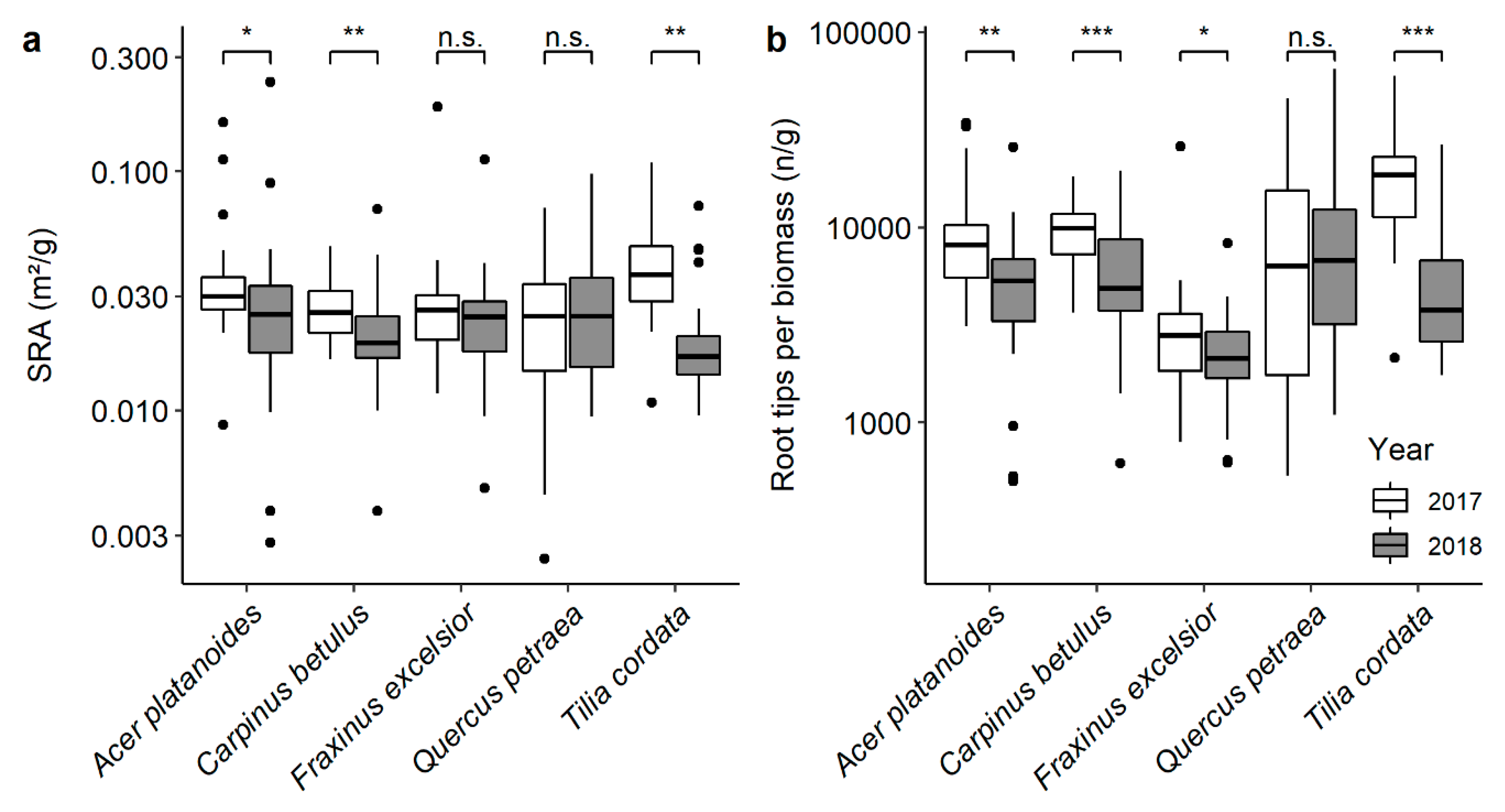 Forests 11 00289 g003 Forests 11 00289 g003