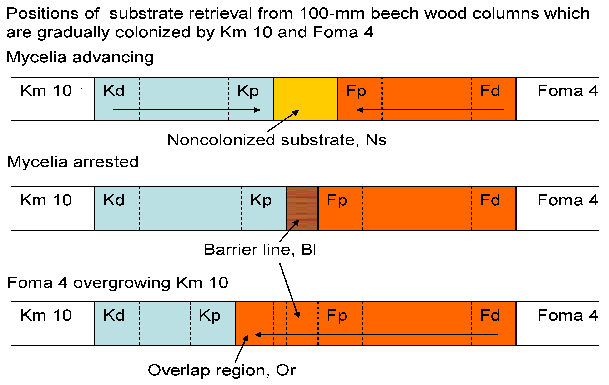Forests 11 00290 g001 Forests 11 00290 g001