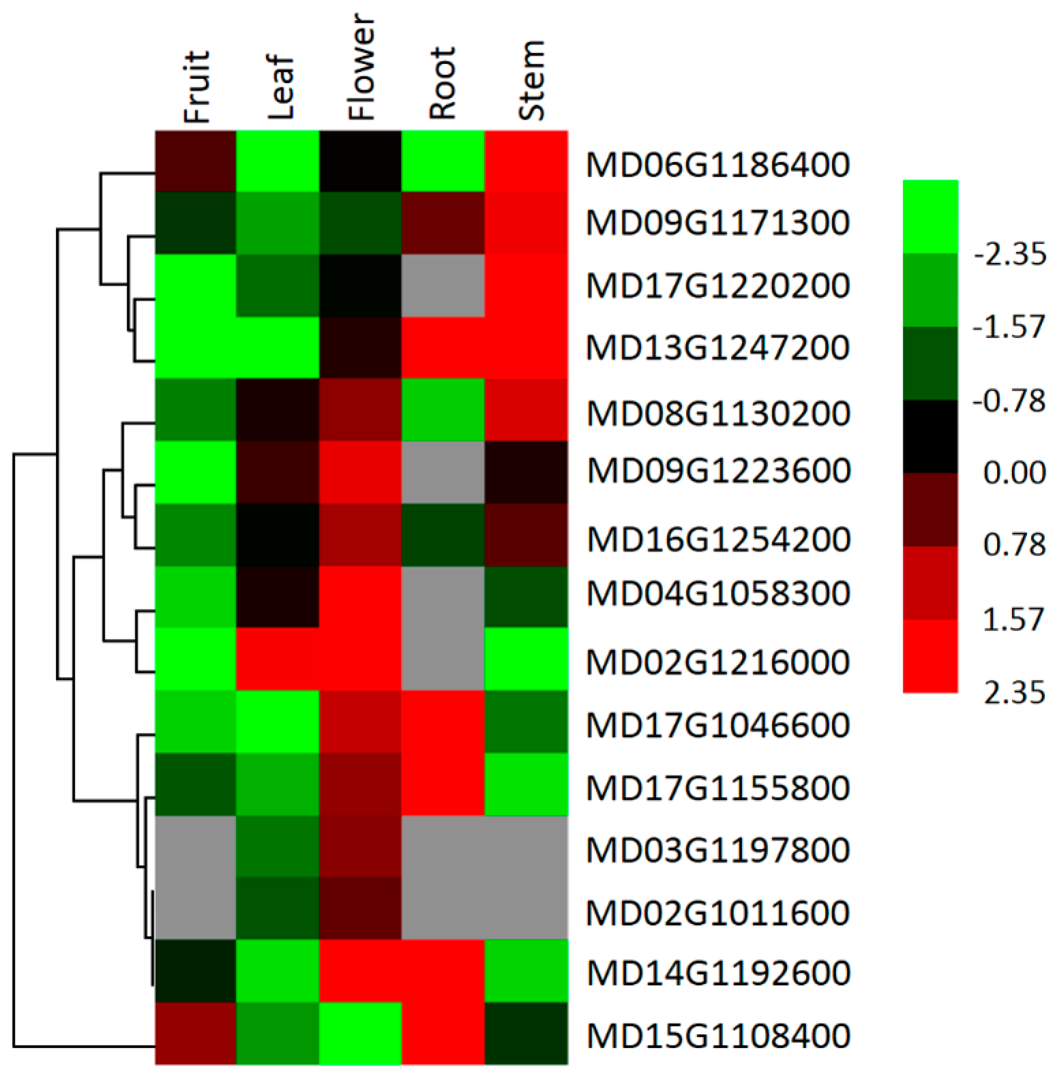 Forests 11 00292 g004 Forests 11 00292 g004