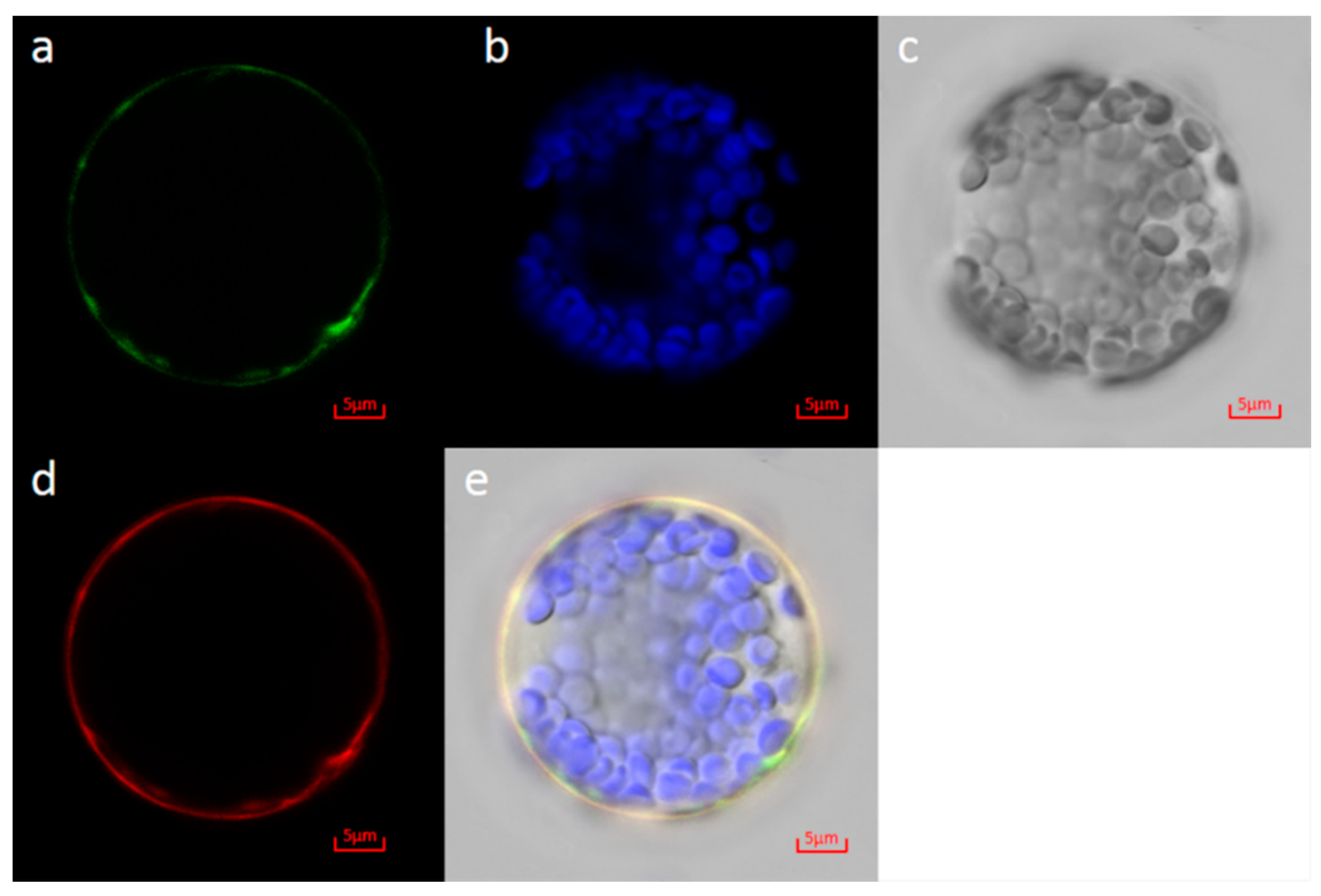 Forests 11 00292 g008 Forests 11 00292 g008