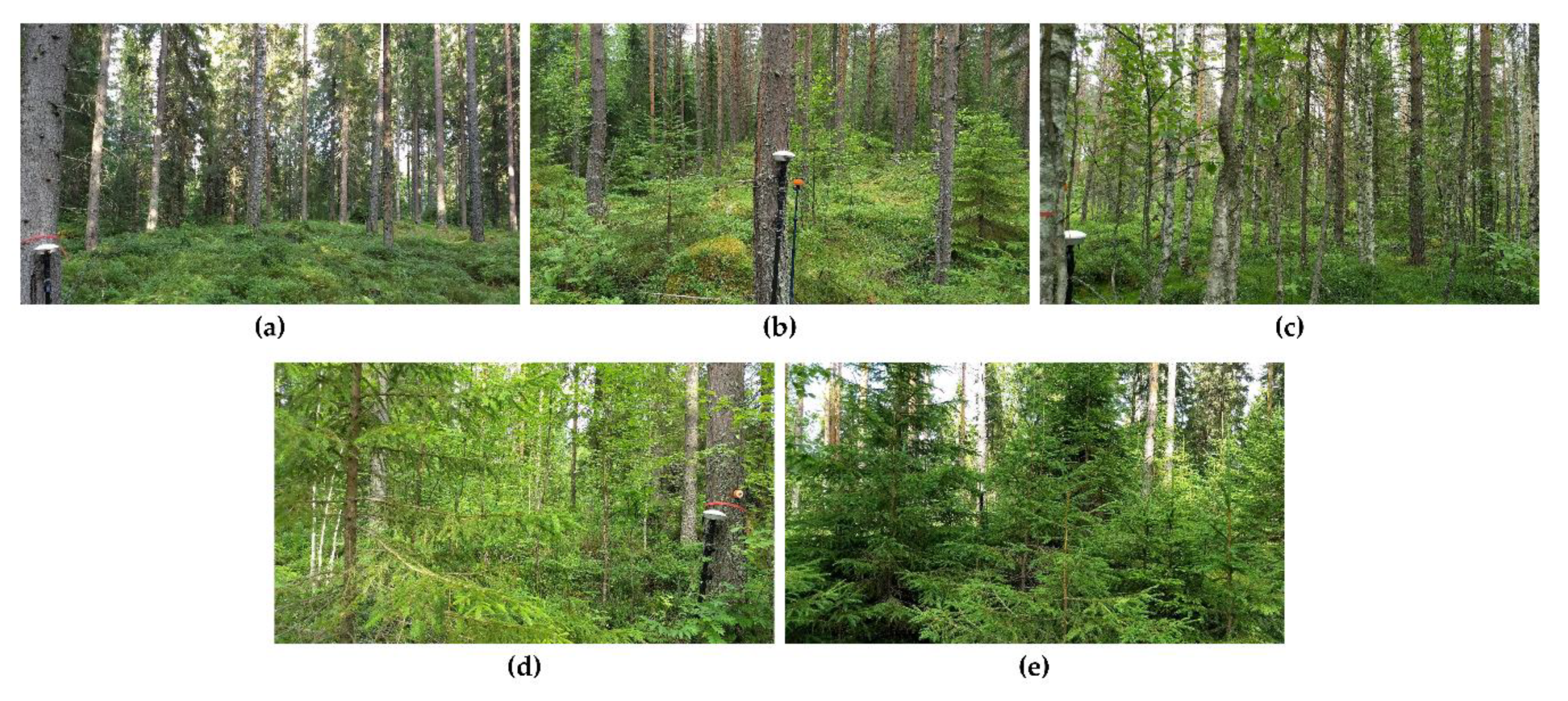 Forests 11 00294 g002 Forests 11 00294 g002
