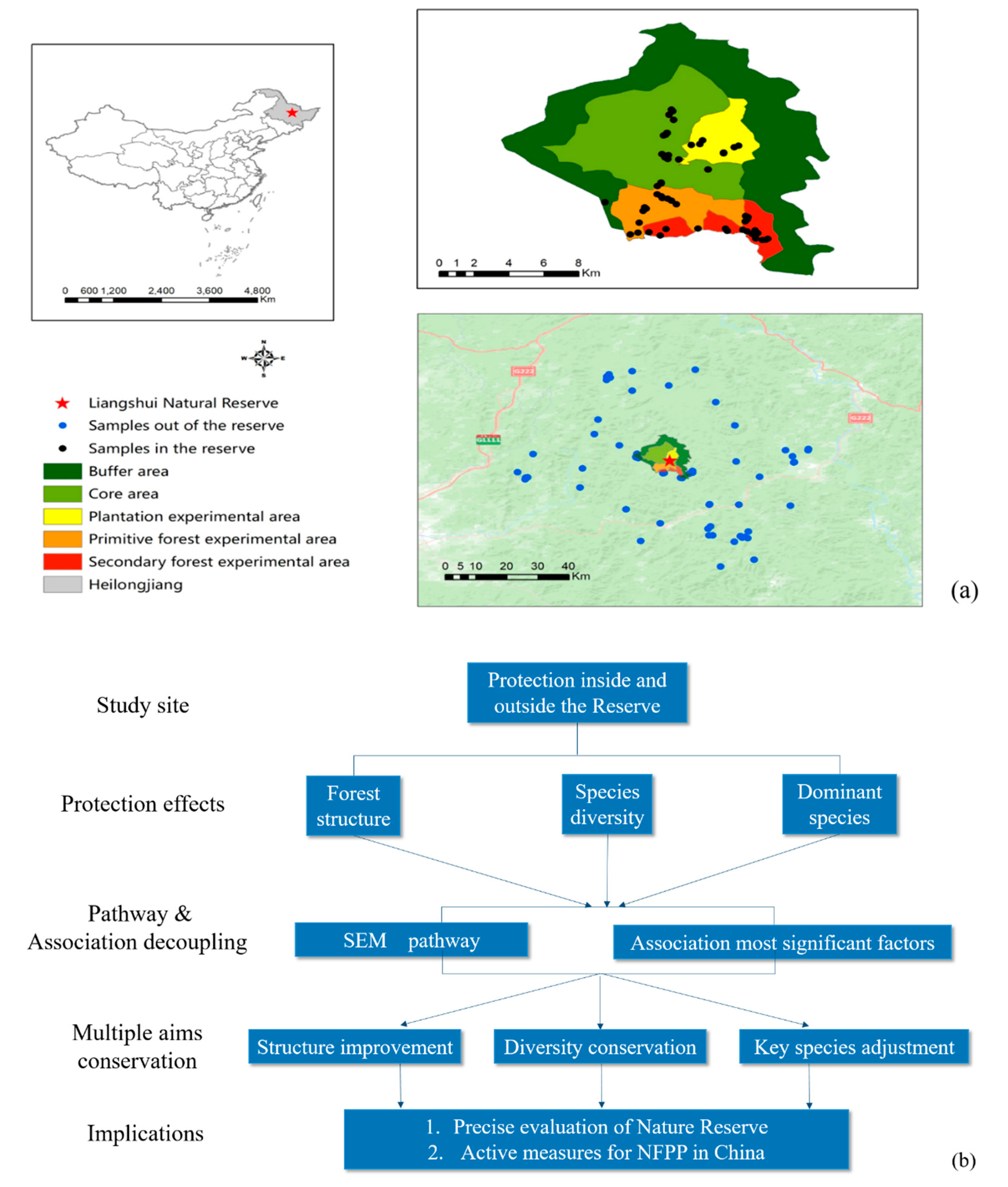 Forests 11 00295 g001 Forests 11 00295 g001