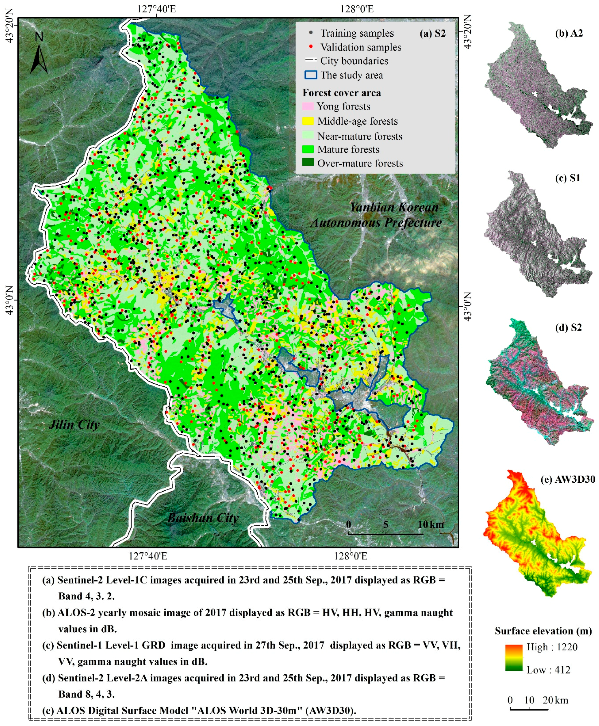 Forests 11 00296 g001 Forests 11 00296 g001