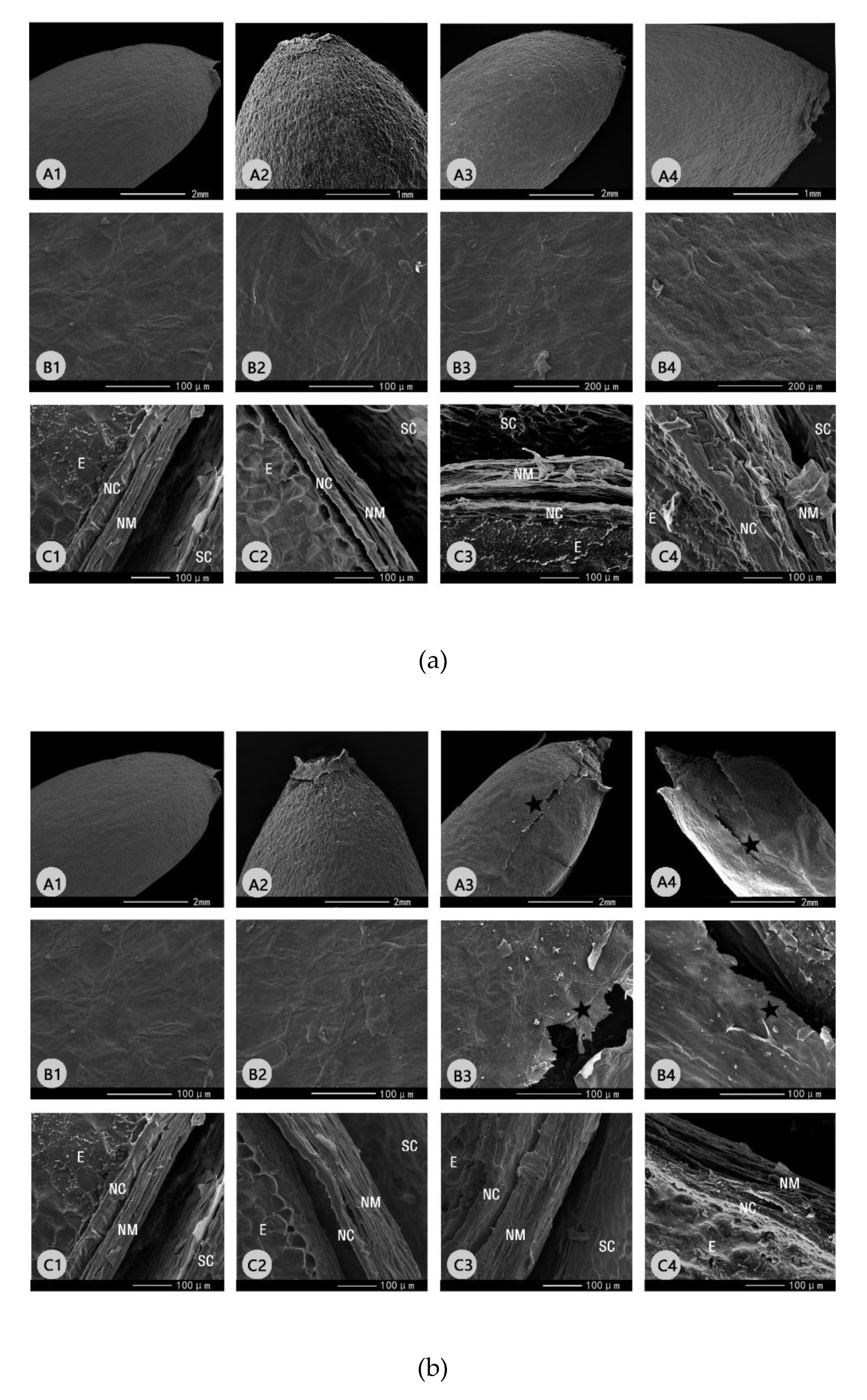 Forests 11 00300 g004