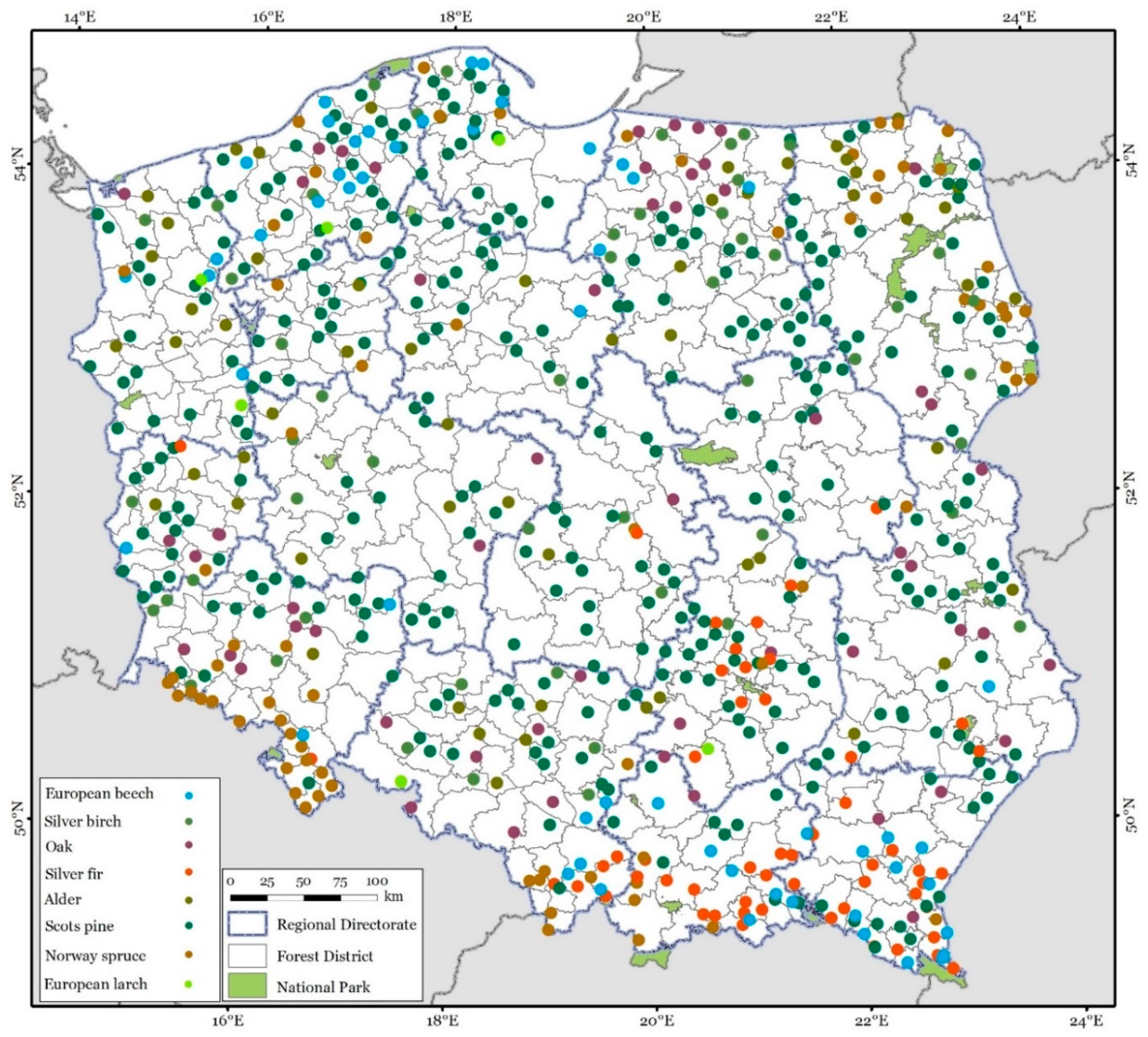 Forests 11 00301 g001 Forests 11 00301 g001