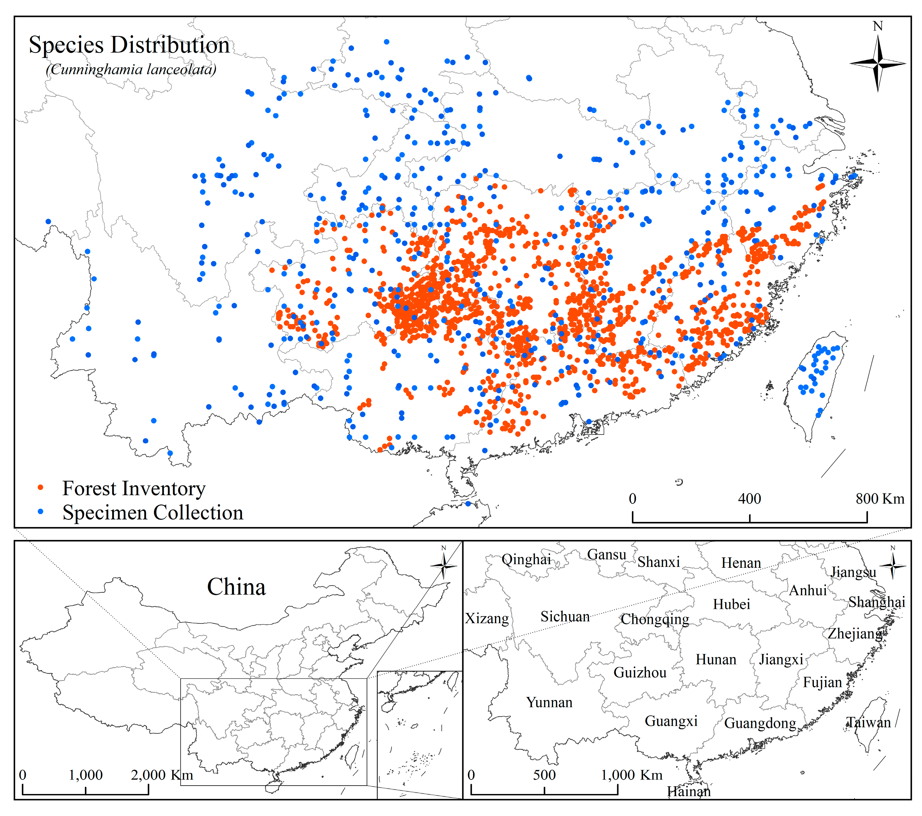 Forests 11 00302 g001