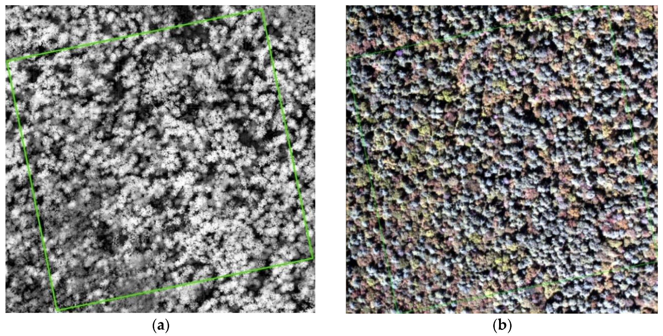 Forests 11 00303 g002