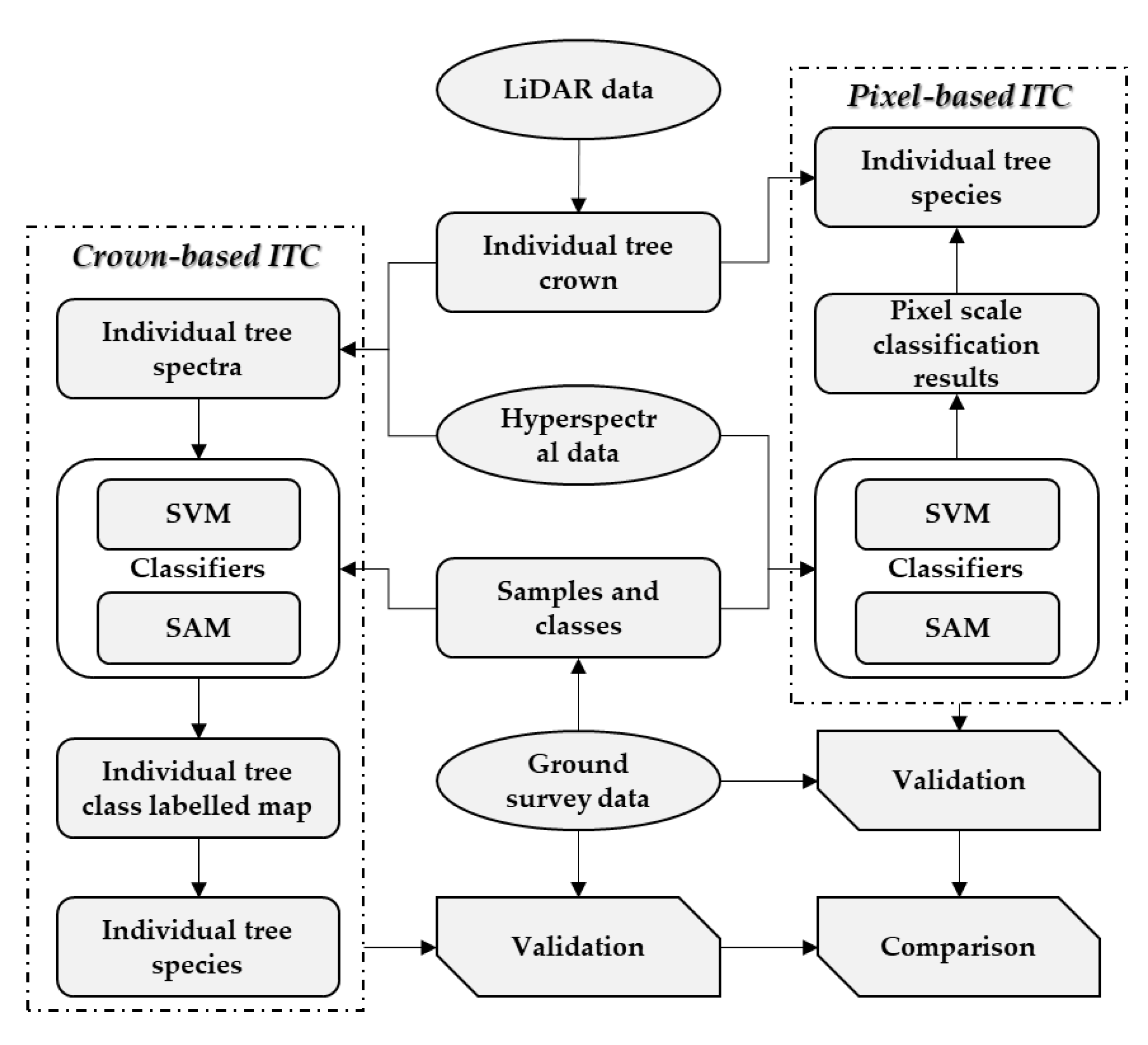 Forests 11 00303 g003