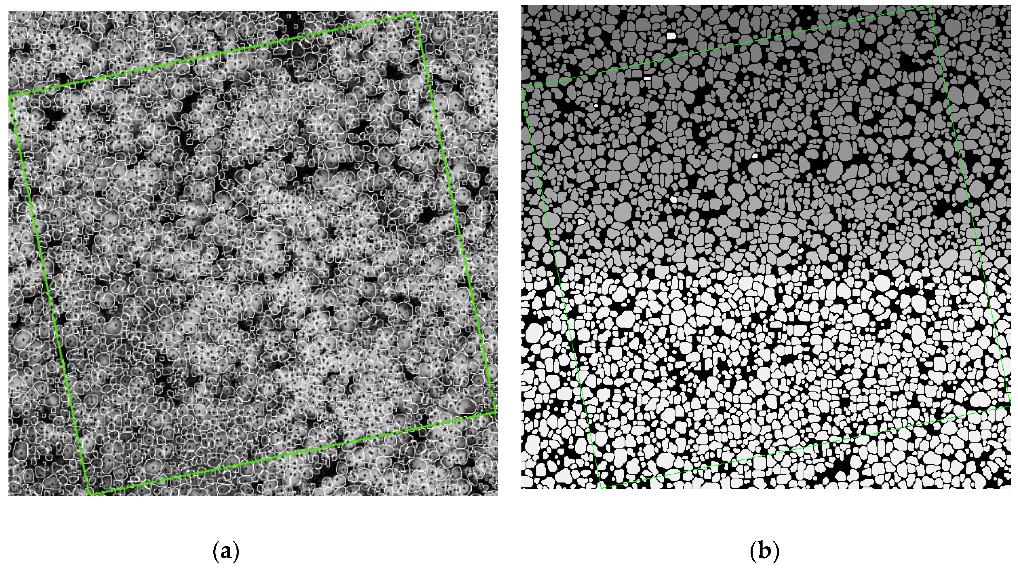Forests 11 00303 g004