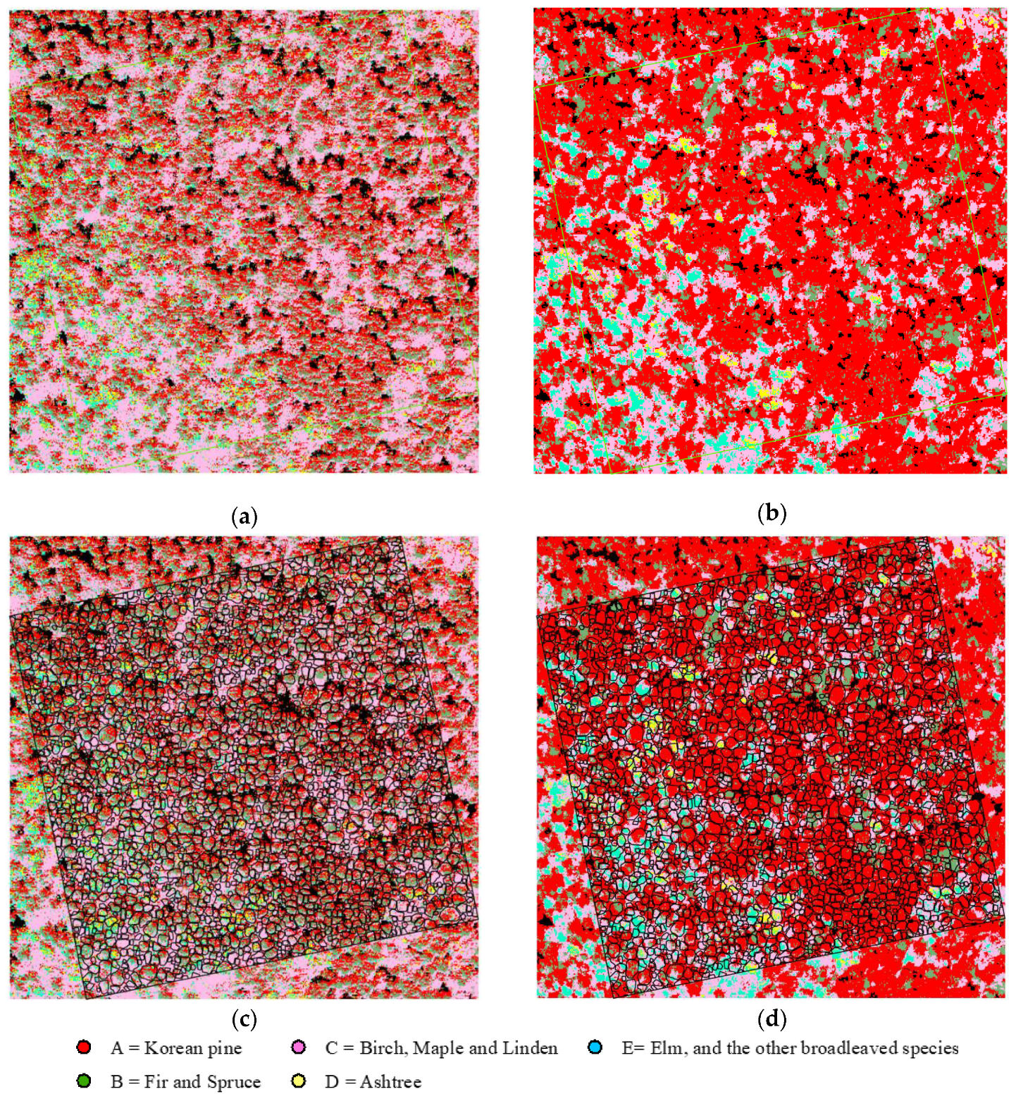 Forests 11 00303 g009