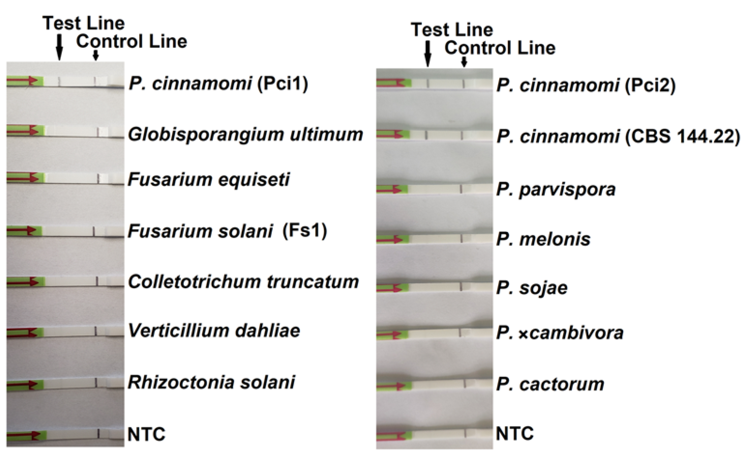 Forests 11 00306 g003 Forests 11 00306 g003