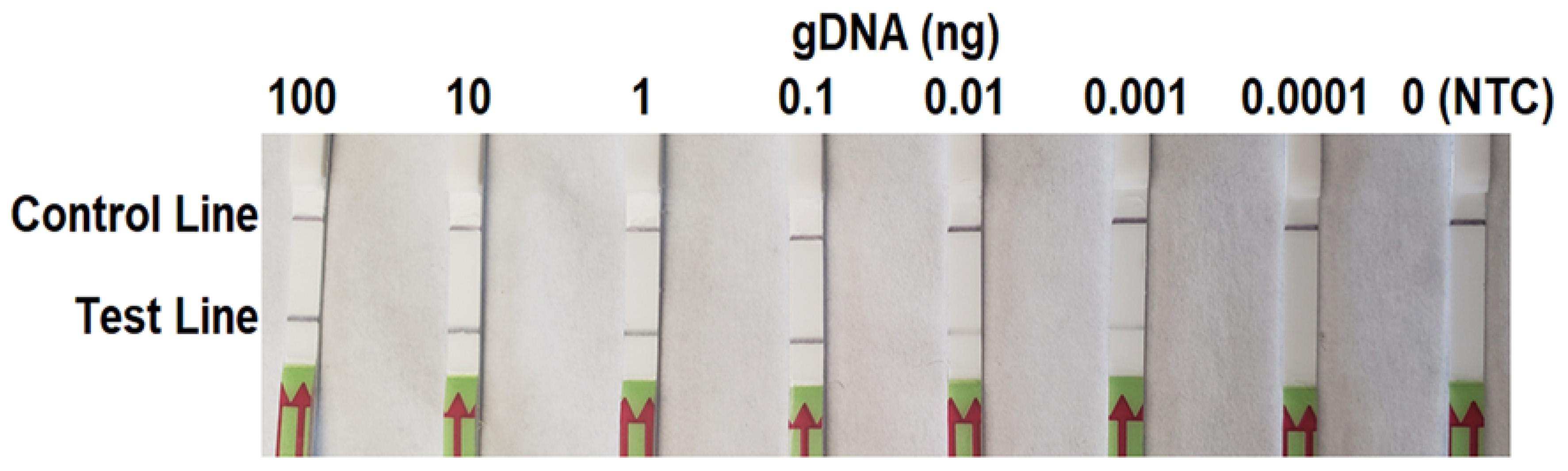 Forests 11 00306 g004 Forests 11 00306 g004