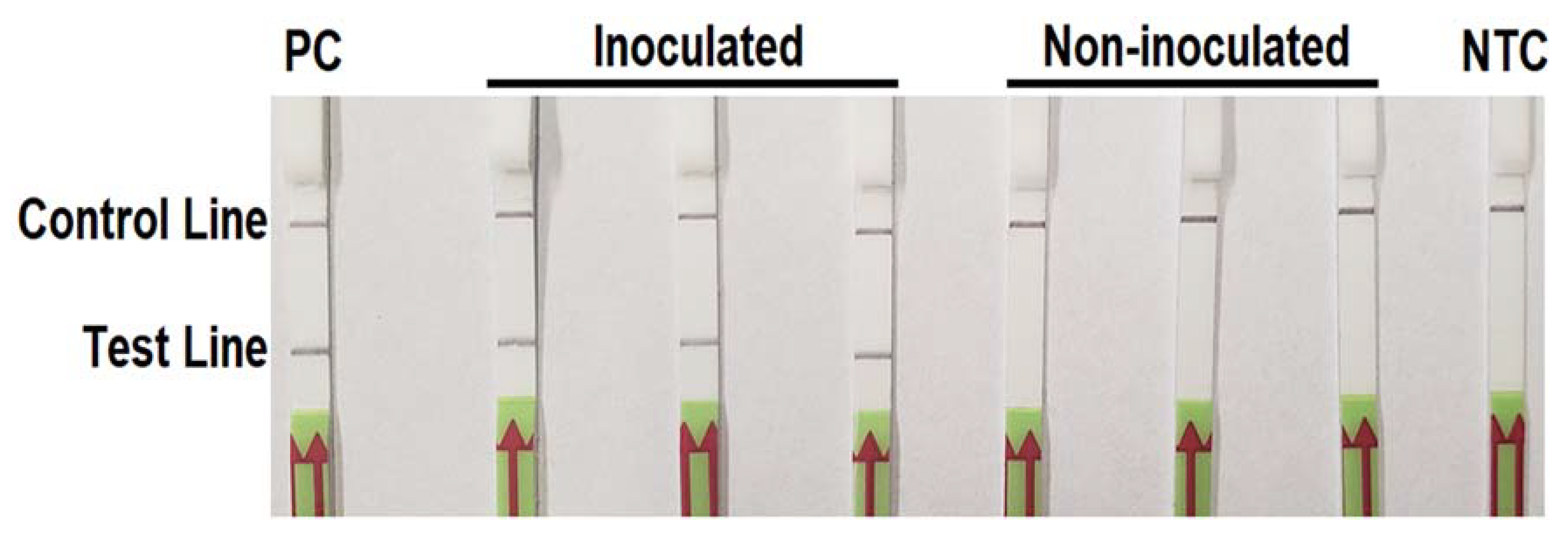 Forests 11 00306 g005 Forests 11 00306 g005