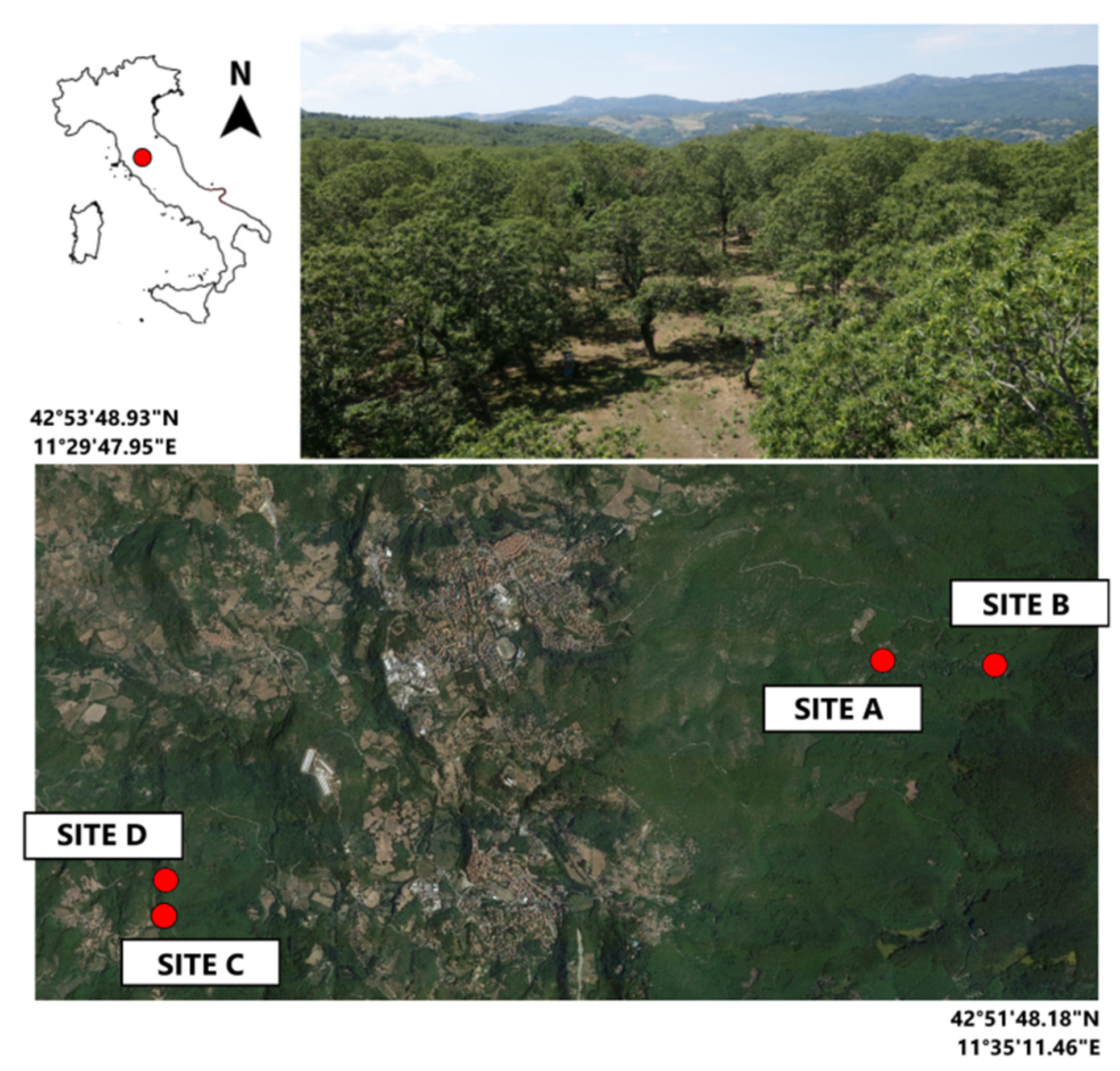 Forests 11 00308 g001